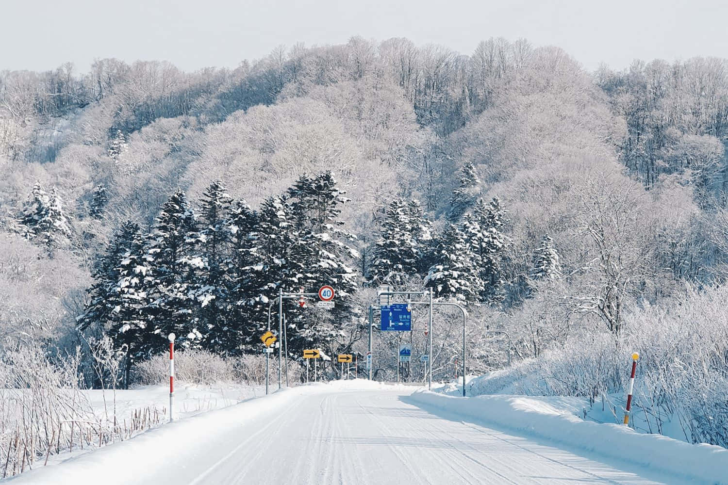 聖誕節 桌布 壁紙 — 一條被雪覆蓋的道路蜿蜒穿過一片被白雪覆蓋的森林山坡，在蒼白的冬日天空下。