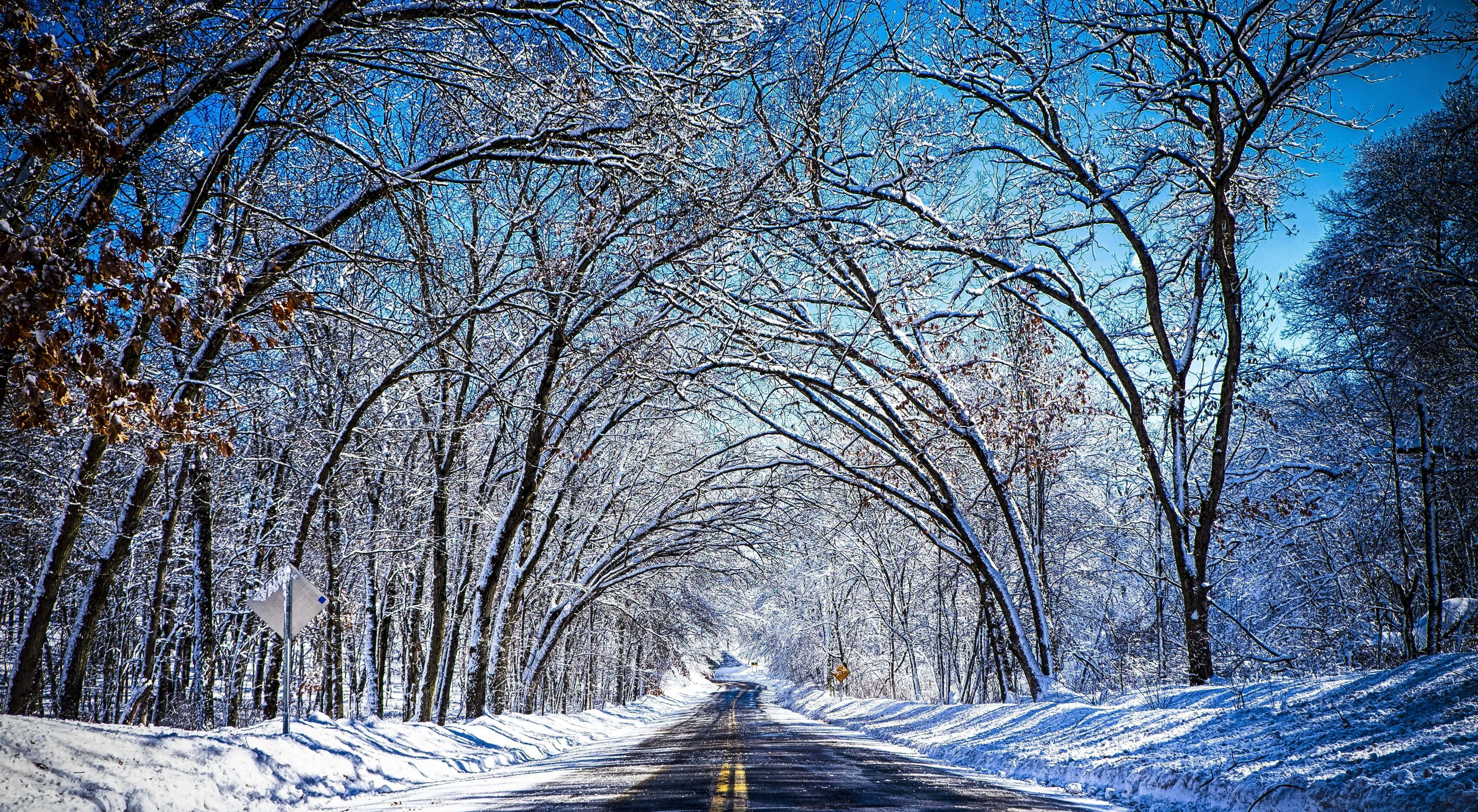 Road 桌布 壁紙 — 一條被雪覆蓋的道路蜿蜒穿過光禿禿的冬季樹木隧道，上方是清澈的藍天。