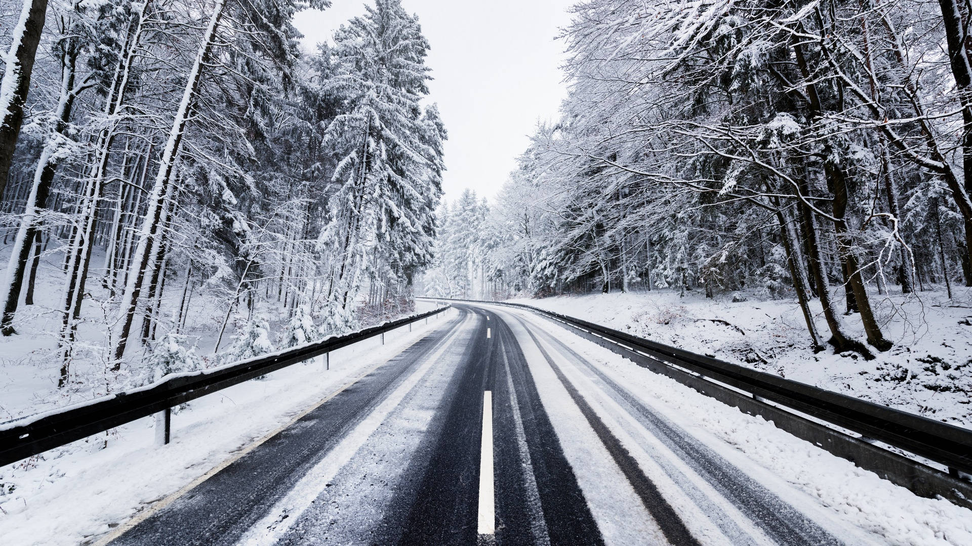 冬季美學 桌布 壁紙 — 一條被雪覆蓋的道路蜿蜒穿過茂密的常青樹林，天空是陰沉的冬日天空。