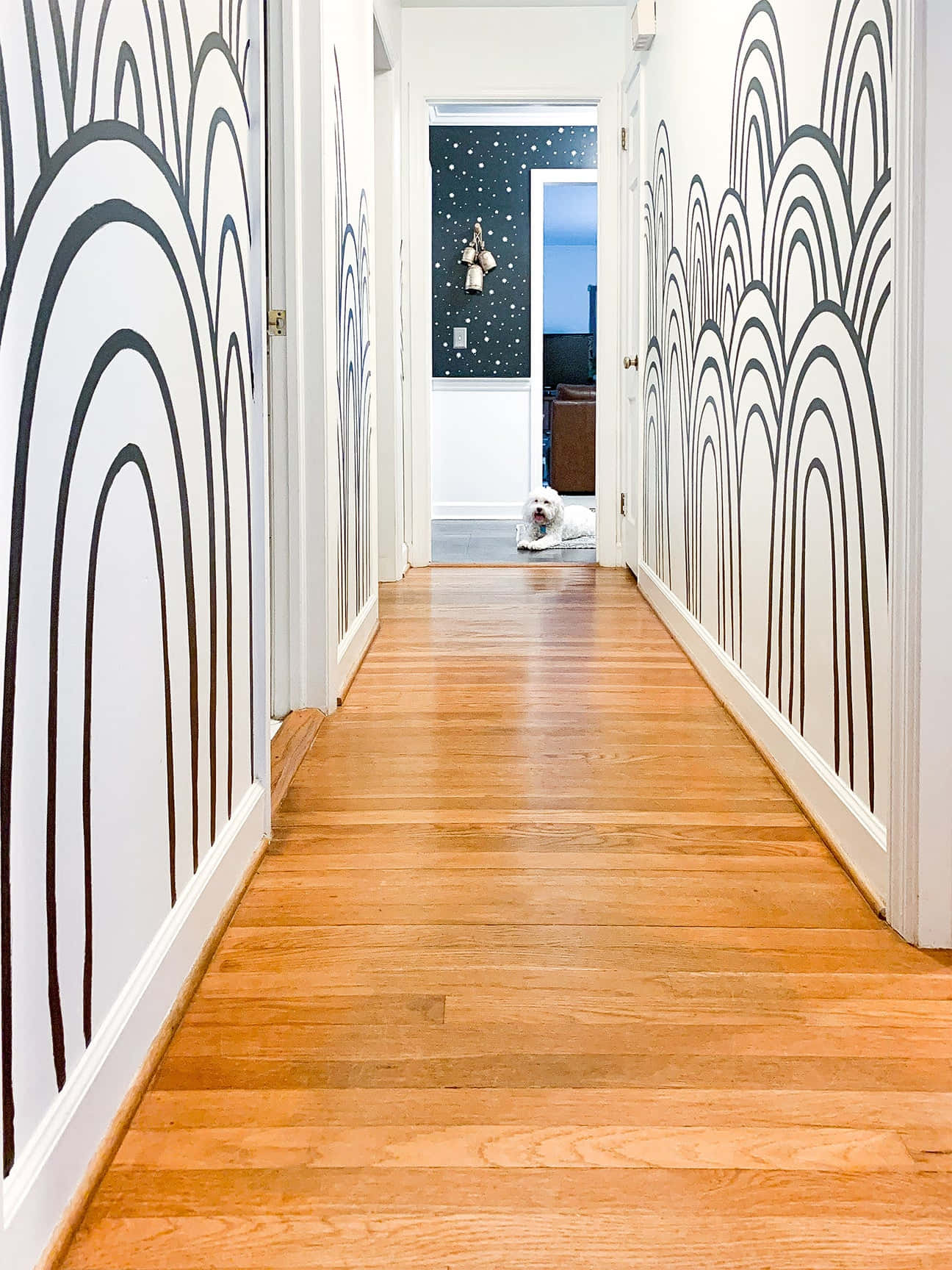 Wall Painting 桌布 壁紙 — 一條走廊，白色牆壁上有黑色抽象波浪圖案，溫暖的木地板，盡頭是一個門口，有一隻白色的狗在休息。