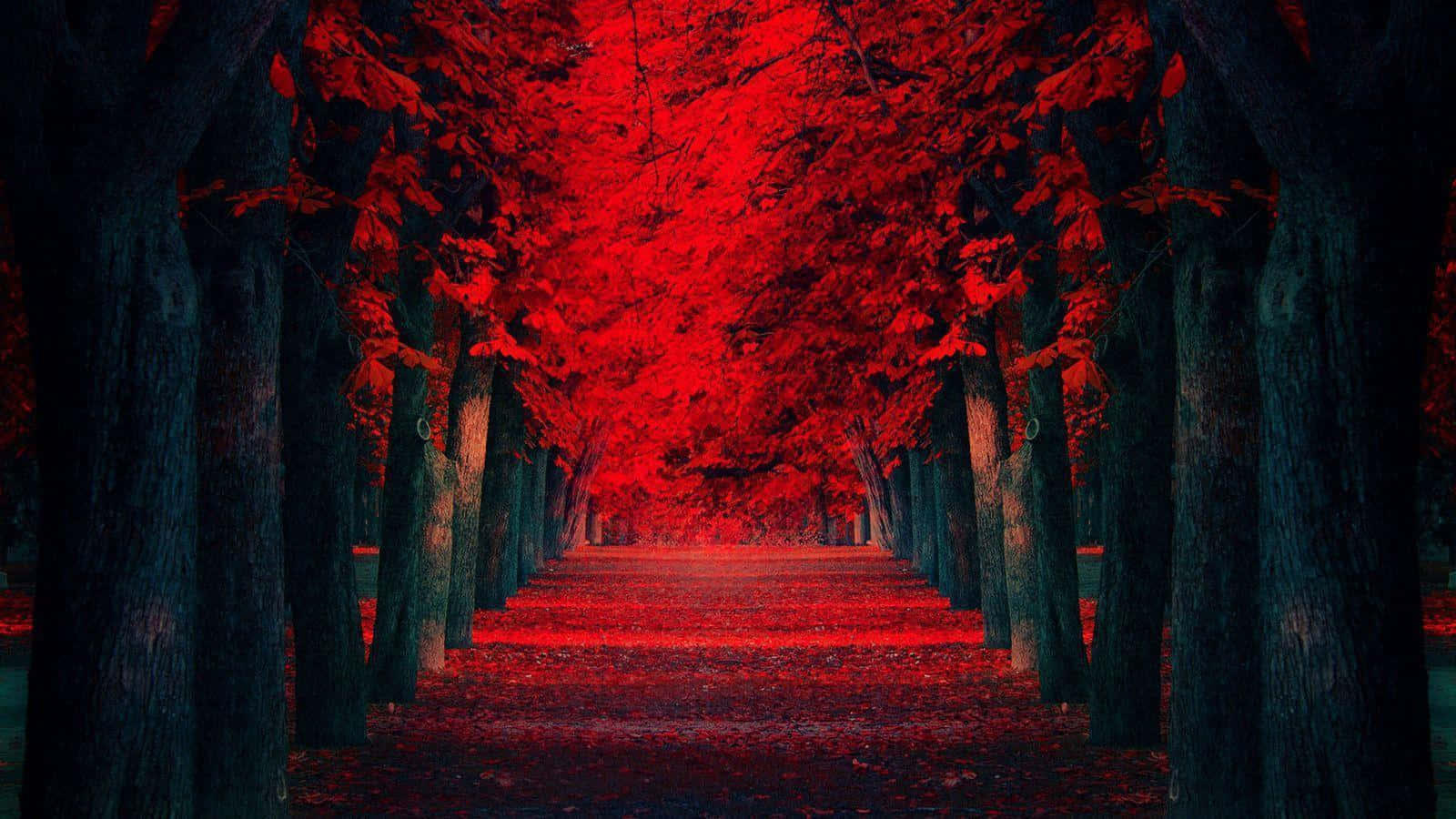 紅色動圖 桌布 壁紙 — 一條超現實的森林小徑，兩旁是深色樹木和發光的紅葉，在深紅色樹冠下形成隧道效果。