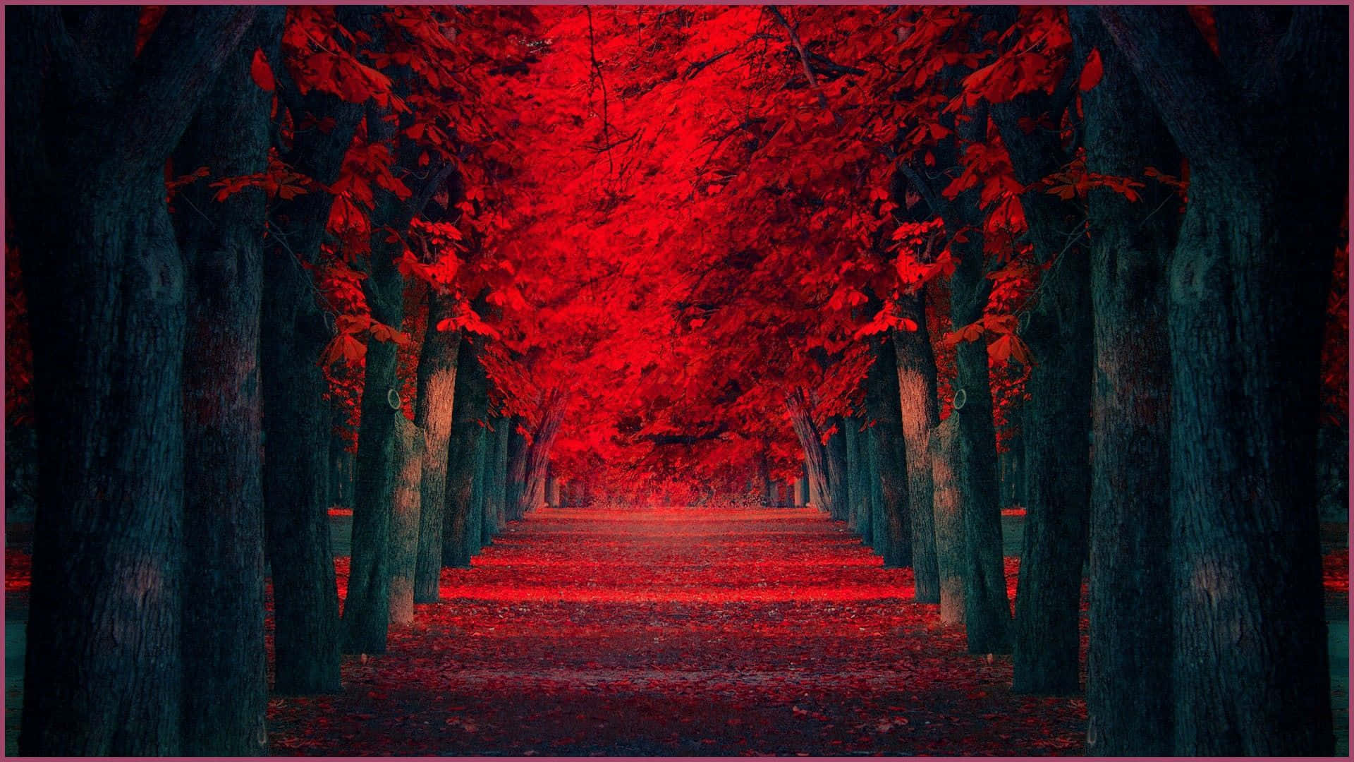 1920x1080 Red 桌布 壁紙 — 一條超現實的森林小徑，兩旁是高聳的樹木，樹葉在深色樹幹襯托下發出強烈的紅光。