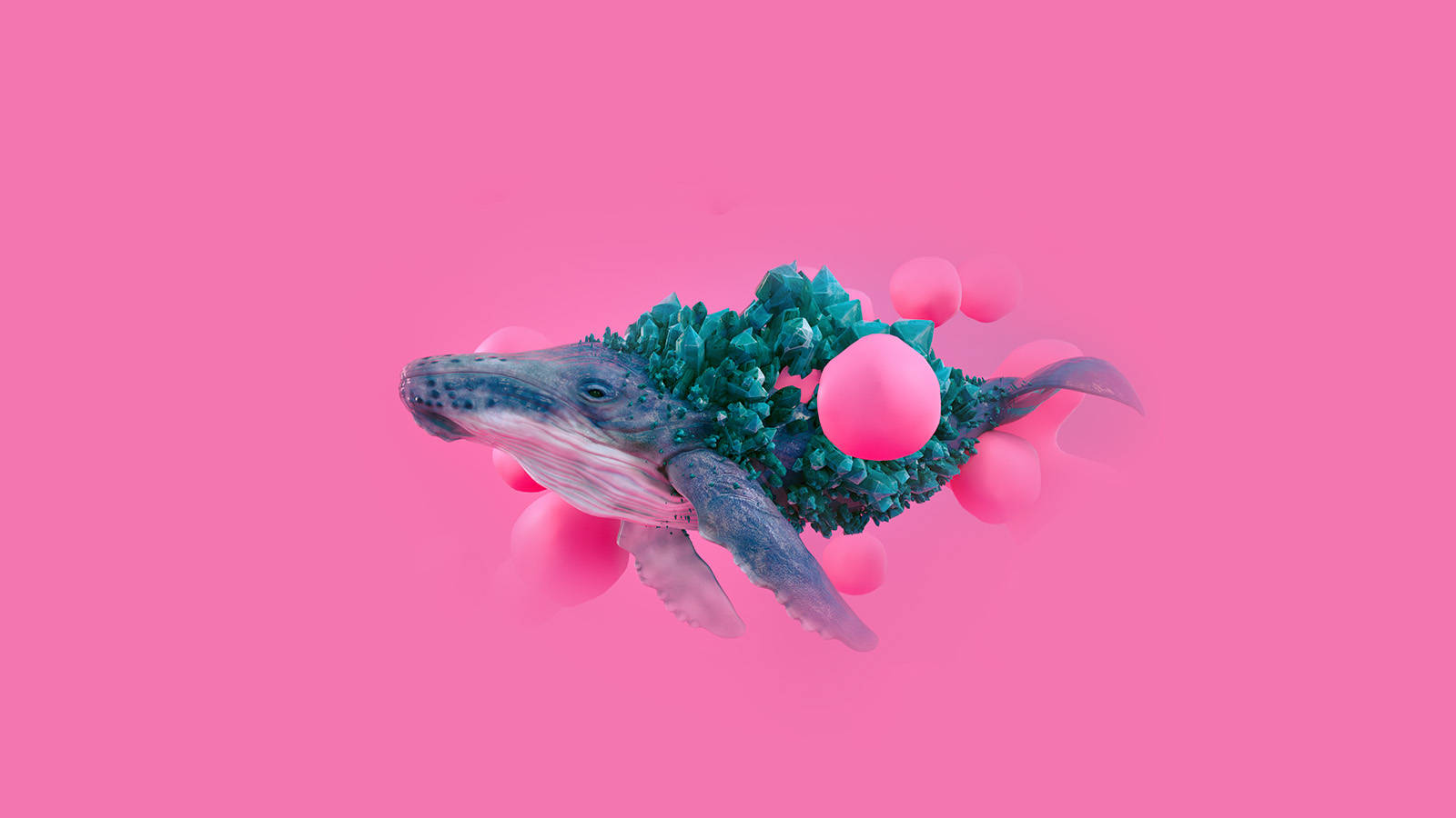 美學藝術 桌布 壁紙 — 一條超現實的鯨魚，擁有水晶般的藍綠色背部，漂浮的粉紅色球體，在純粉紅色背景中游動。