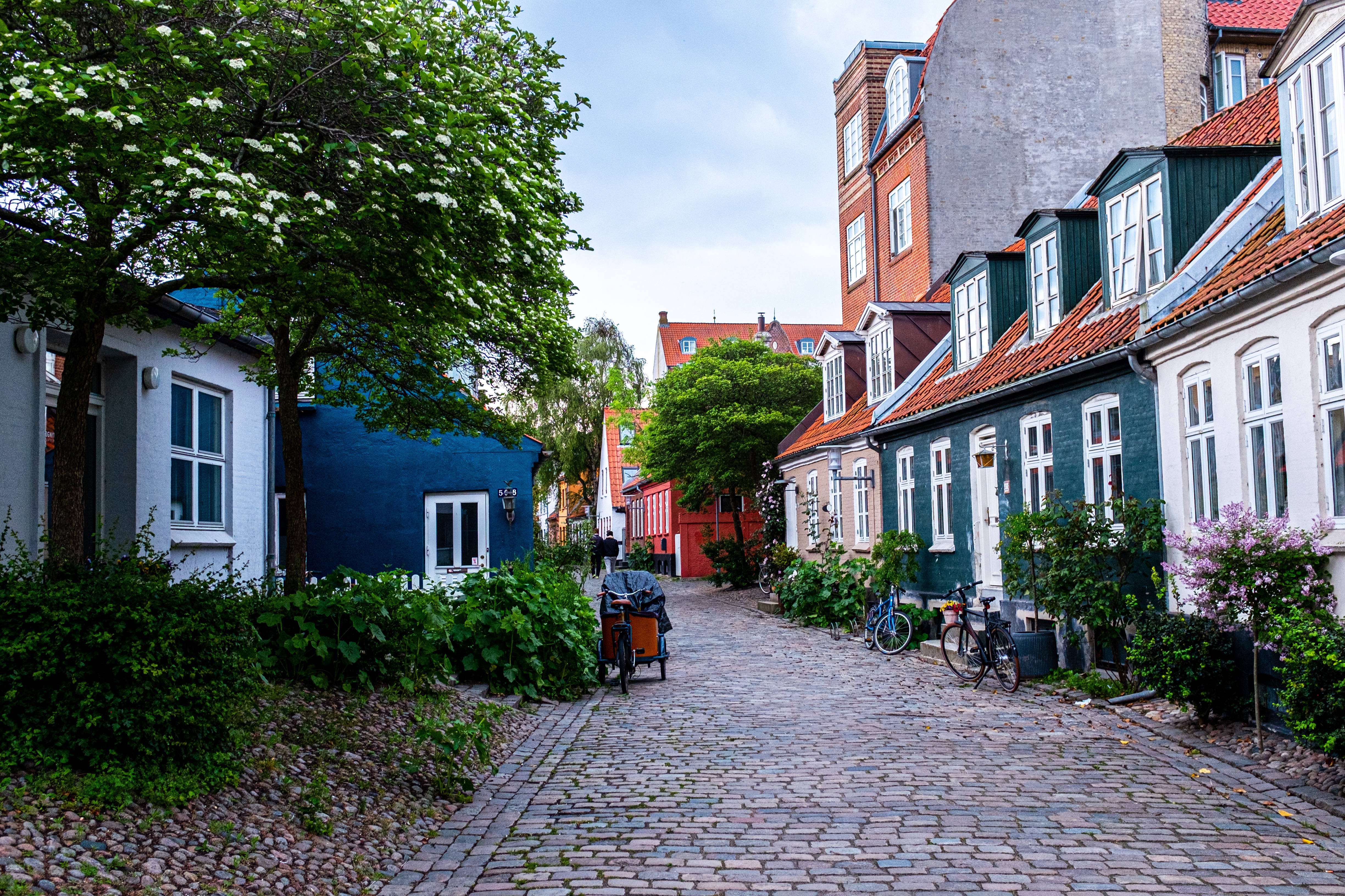 Denmark 桌布 壁紙 — 一條迷人的鵝卵石小巷，兩旁是色彩繽紛的傳統房屋和茂密的綠植，在柔和的白天下。