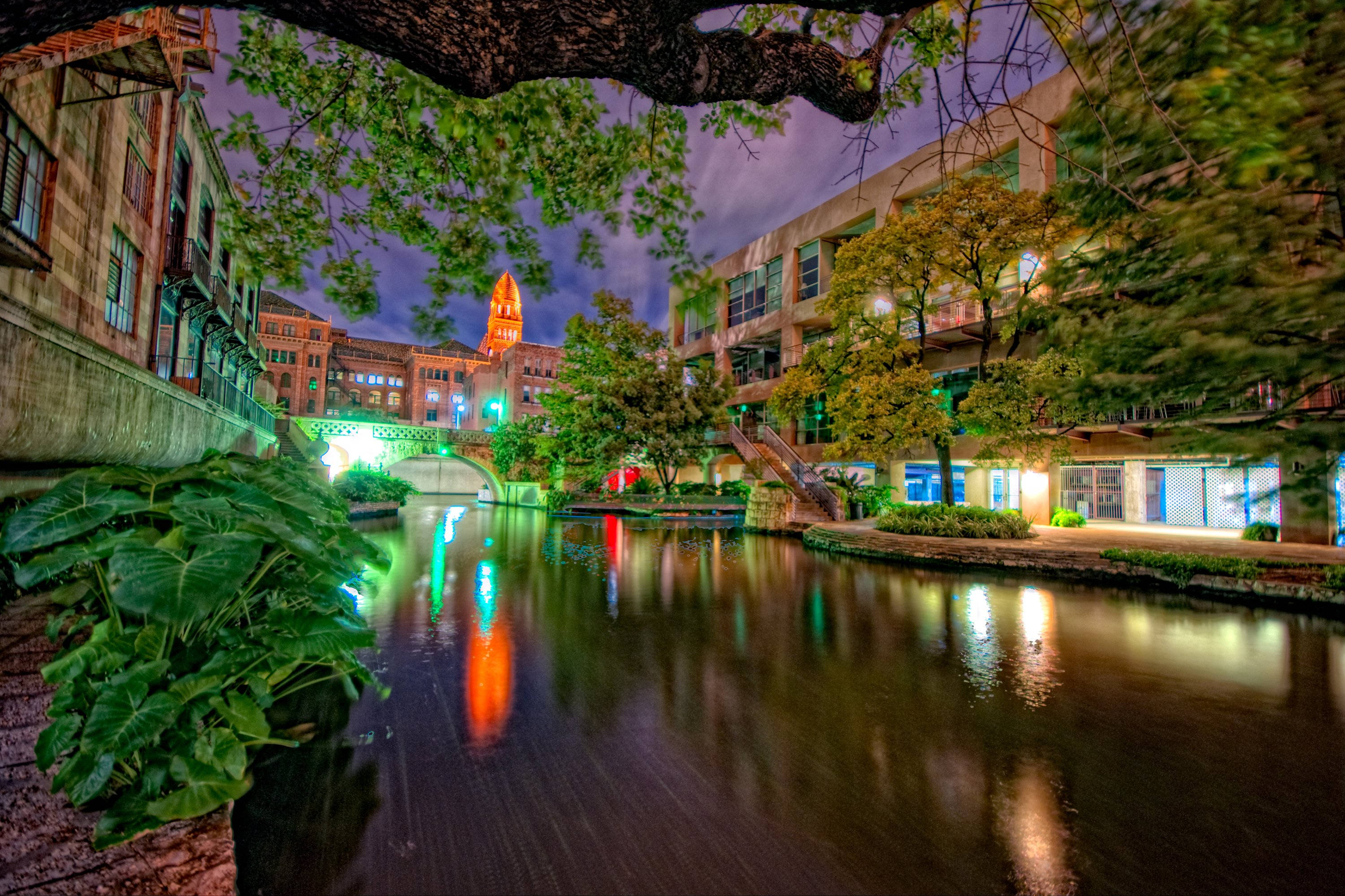 水 桌布 壁紙 — 一條運河的充滿活力的夜景，兩旁是建築物和樹木，色彩繽紛的燈光倒映在水面上。
