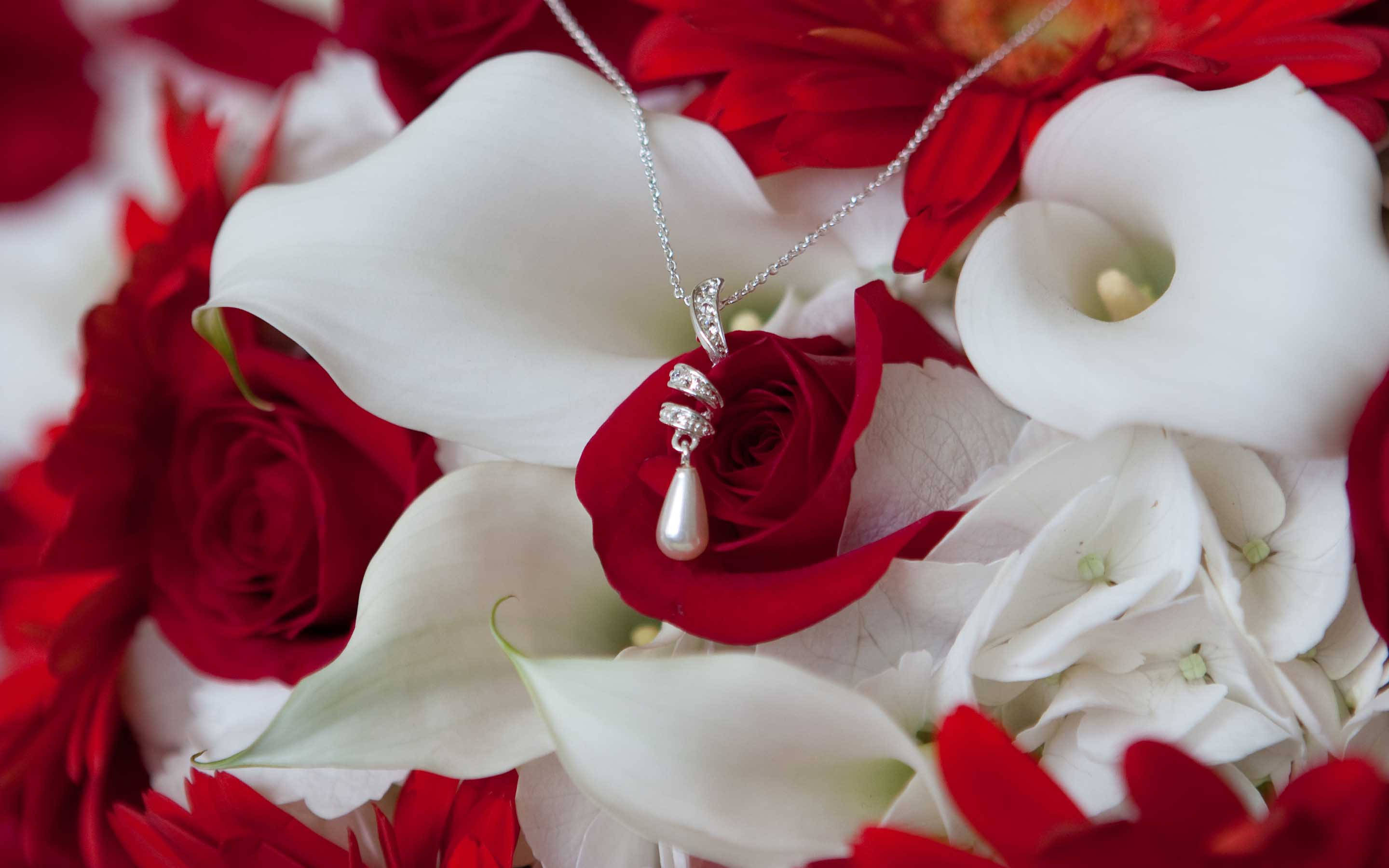 Roses 桌布 壁紙 — 一條銀色珍珠吊墜項鍊精緻地放在紅玫瑰和白馬蹄蓮上。