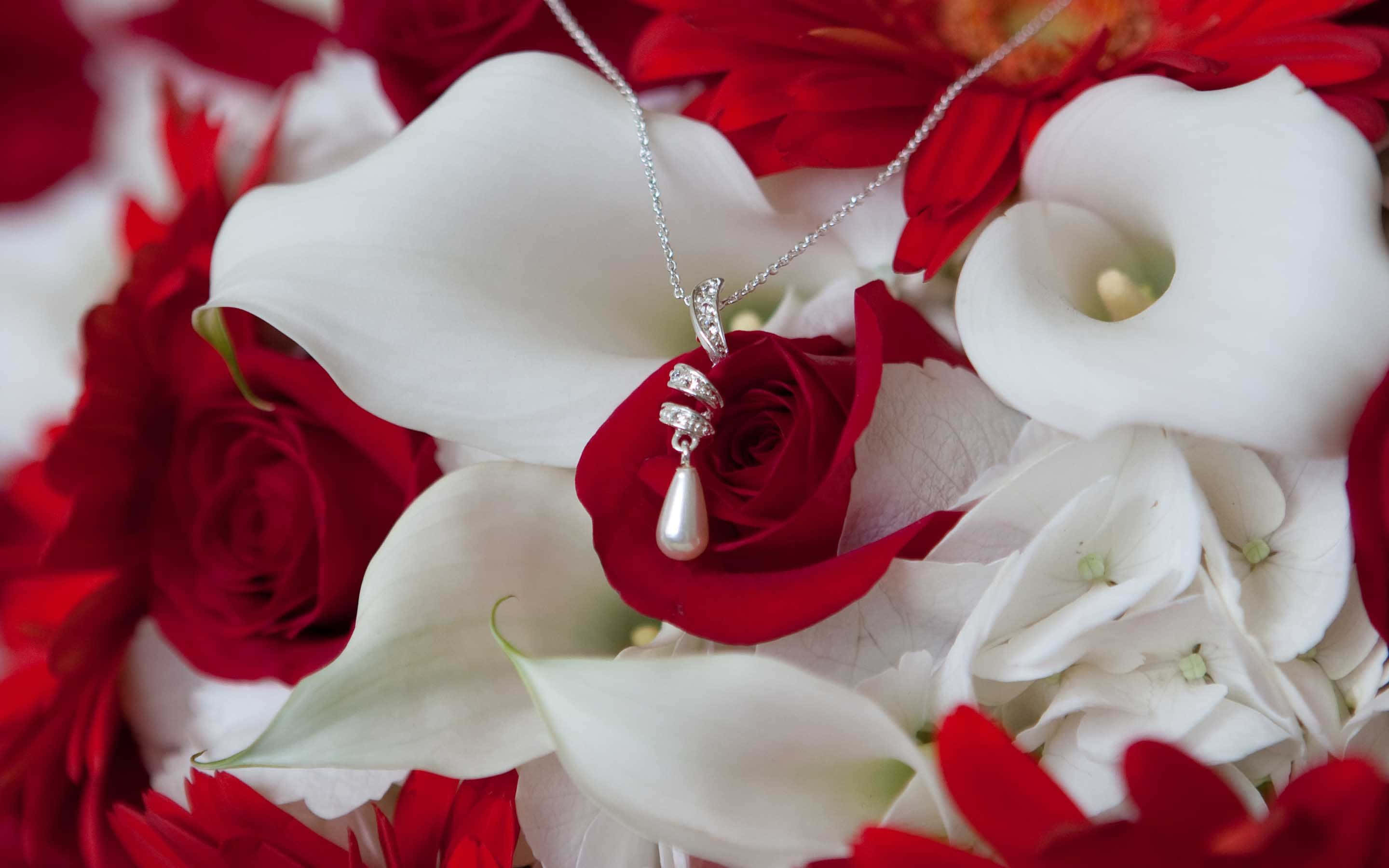 Necklace 桌布 壁紙 — 一條銀色珍珠吊墜項鍊精緻地放在鮮豔的紅玫瑰和純潔的白馬蹄蓮上。