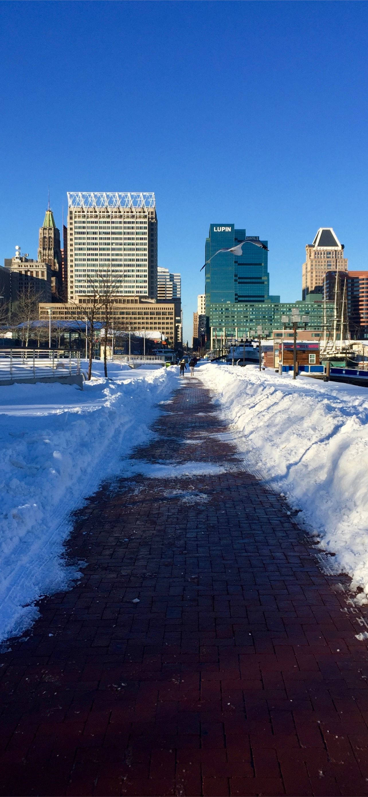 藍色 桌布 壁紙 — 一條鋪滿雪的磚砌小徑蜿蜒穿過冬日城市景觀，背景是晴朗的藍天和高樓大廈。
