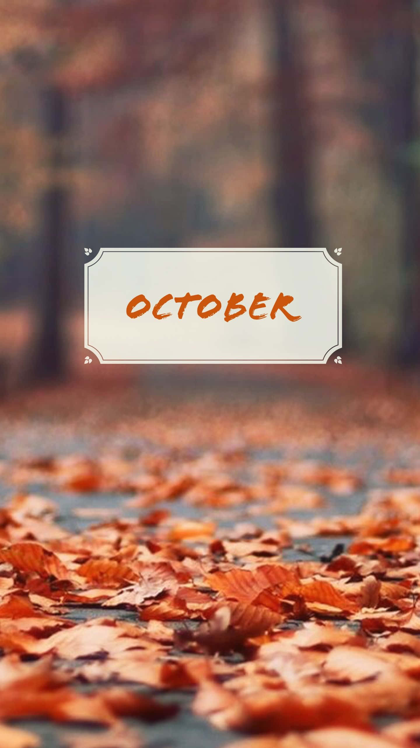 Autumn Leaves 桌布 壁紙 — 一條鋪滿鮮豔橙色秋葉的小路，通往一片柔和模糊的森林，裝飾框架中央有「ОКТЯБРЬ」字樣。