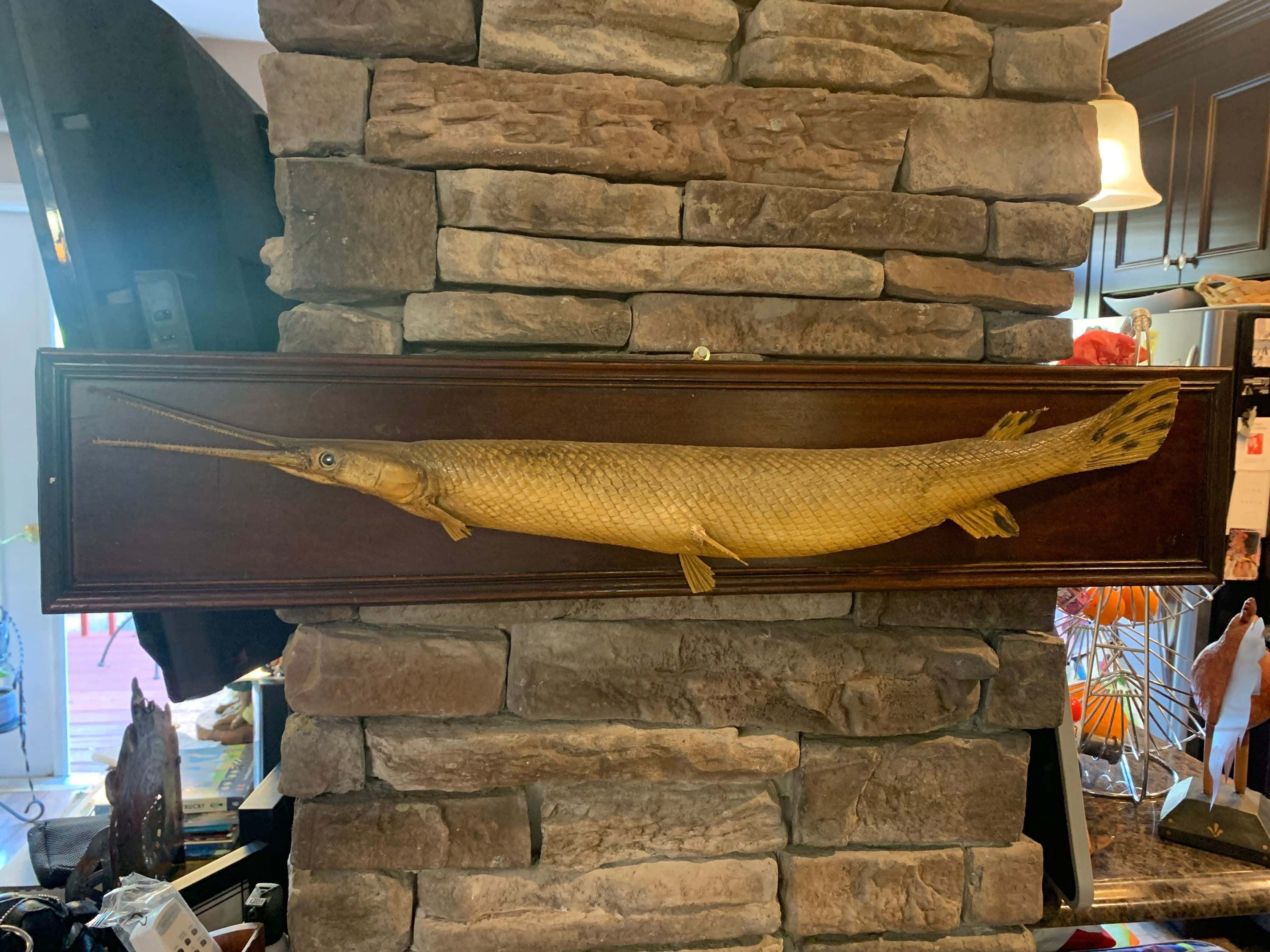 Gar Fish 桌布 壁紙 — 一條鑲在深色木框中的金色雀鱔掛在舒適家居內部的質樸石壁爐上。