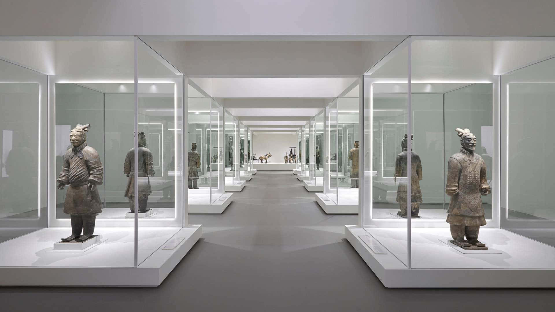 Museum 桌布 壁紙 — 一條長廊，兩旁玻璃陳列櫃在明亮白光下展示古代兵馬俑。