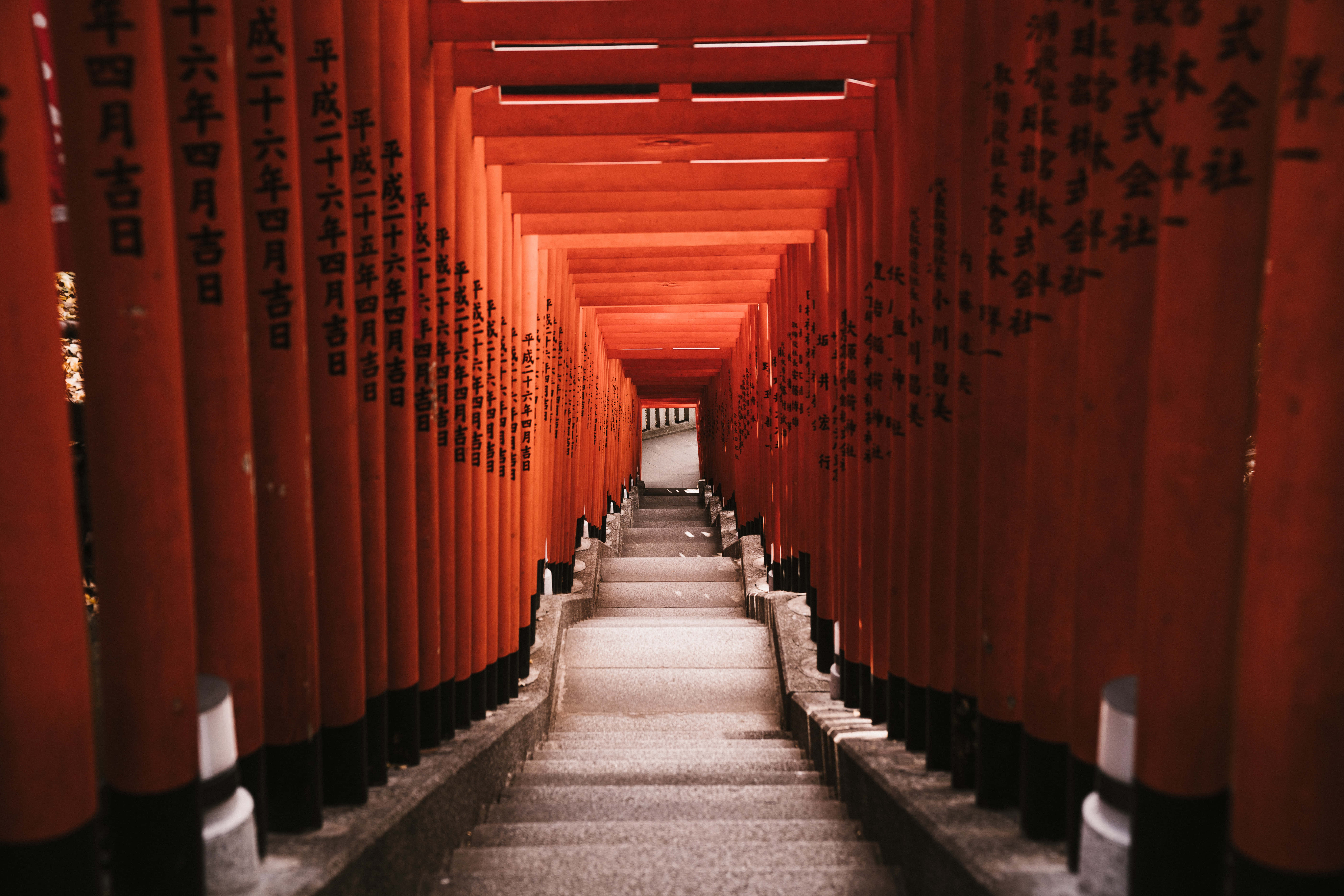 日本 桌布 壁紙 — 一條長樓梯穿過一條由鮮紅色鳥居組成的隧道，鳥居上刻有黑色日文字元。