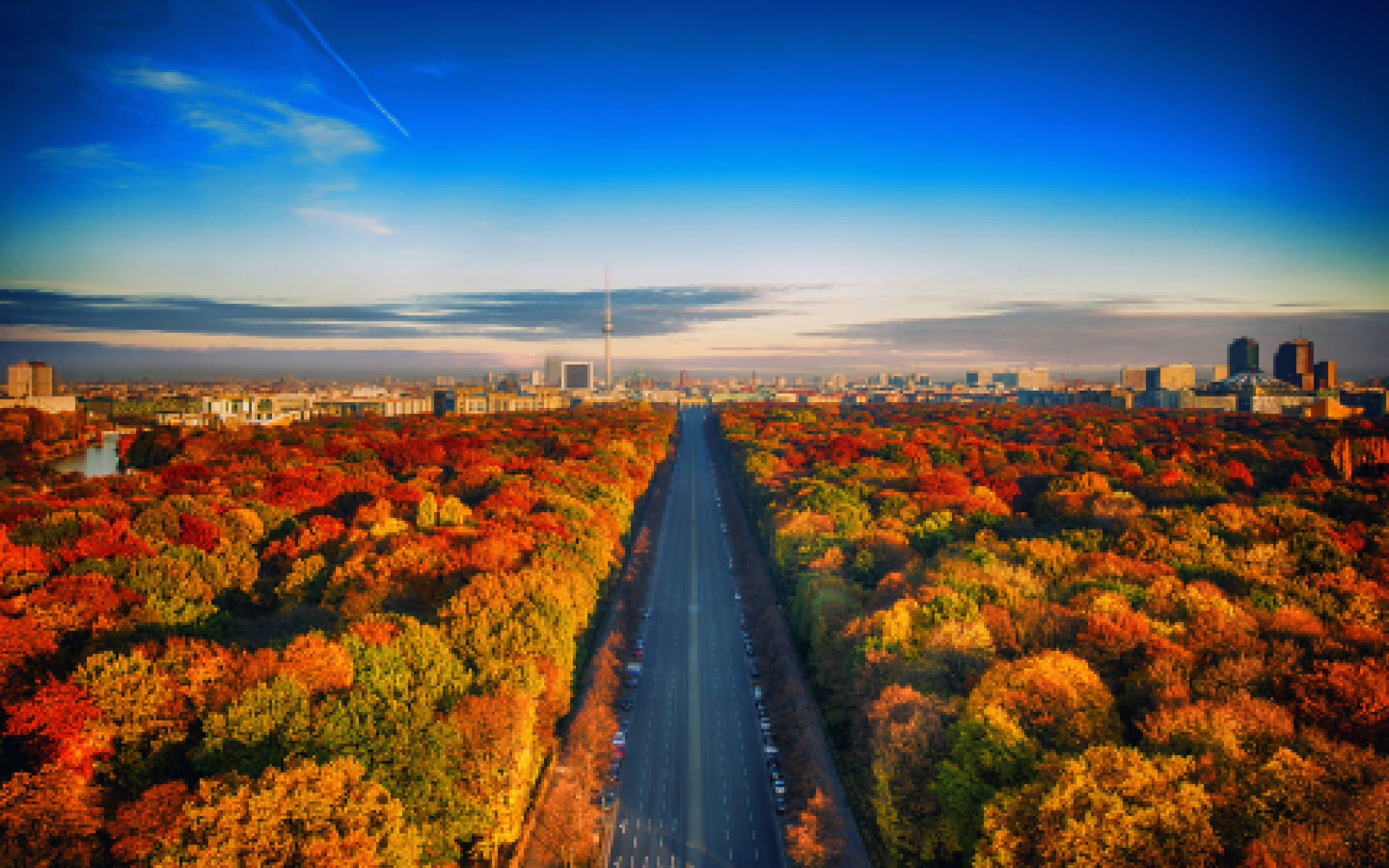 一條穿過秋樹的道路在日落時分通往城市天際線。 — 5K 壁紙