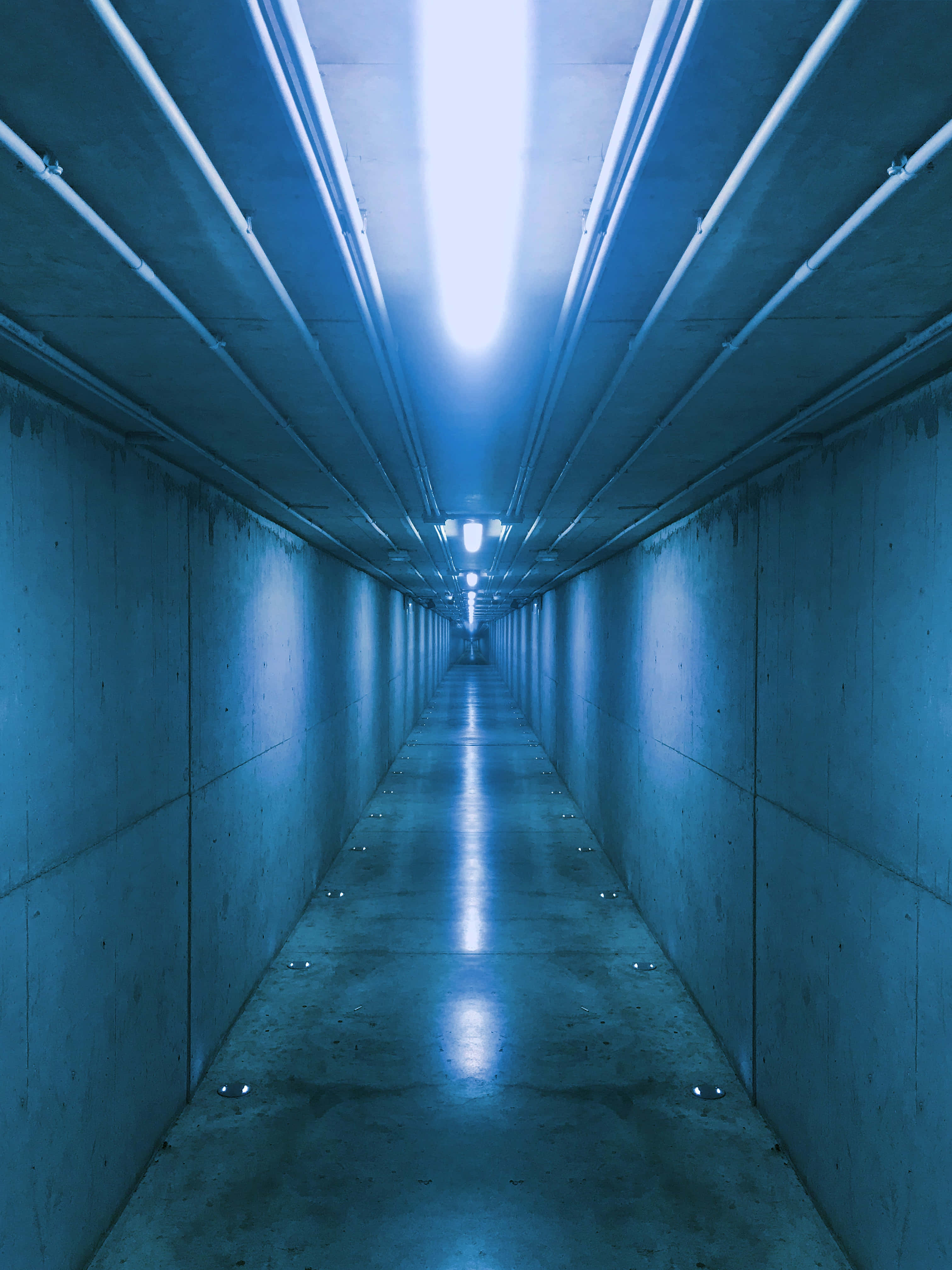 hallway 桌布 壁紙 — 一條長長的混凝土隧道，被頭頂燈具的冷藍光籠罩，營造出鮮明而沉浸的視角。