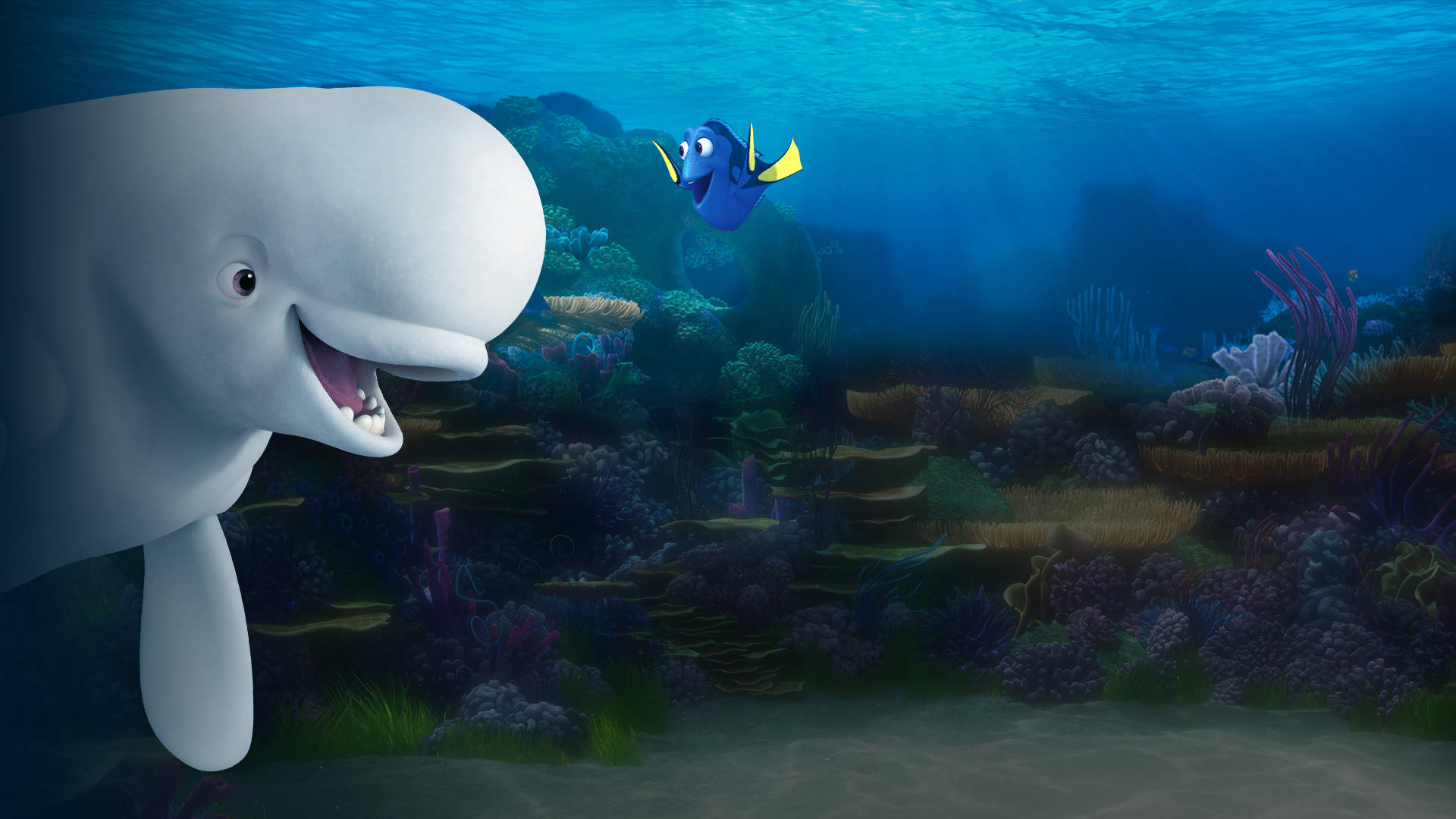 Dory 桌布 壁紙 — 一條開心的白鯨和一條小藍魚在深藍色海水下的彩色珊瑚礁中一起游泳。
