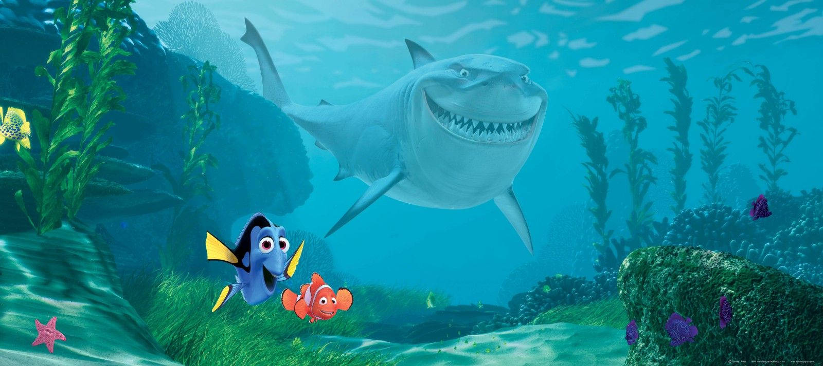 nemo 桌布 壁紙 — 一條開心的鯊魚向下微笑看著尼莫和多莉游過充滿活力的珊瑚礁。
