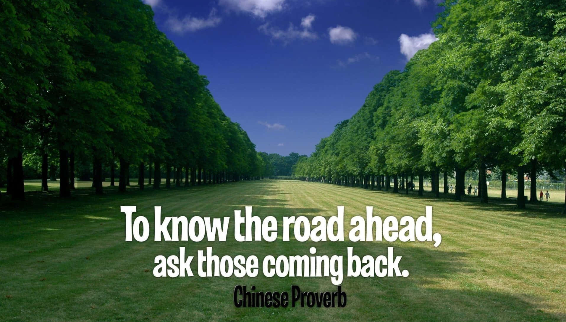 Motivation 桌布 壁紙 — 一條陽光明媚、兩旁種滿樹木的大道，在蔚藍的天空和零星白雲下，伸向遠方的地平線。