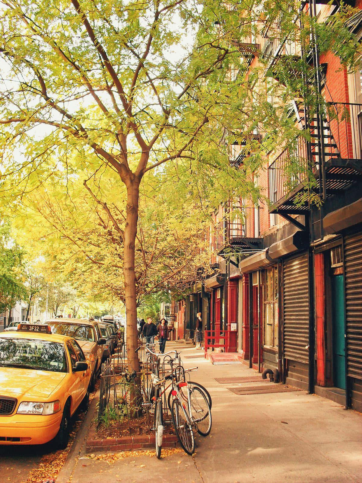 Fall Town 桌布 壁紙 — 一條陽光明媚的城市街道，兩旁是磚造建築、防火梯和黃色計程車，上方是金色的秋樹。