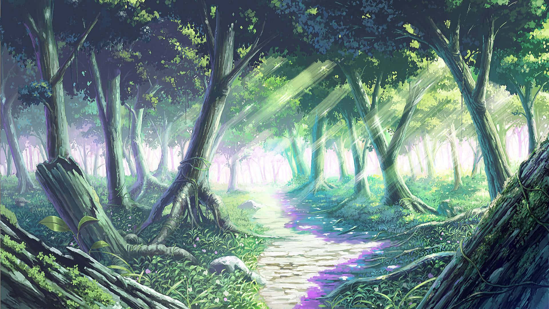 Beautiful Forest 桌布 壁紙 — 一條陽光明媚的森林小徑蜿蜒穿過高聳的樹木，光束穿過樹冠灑落。