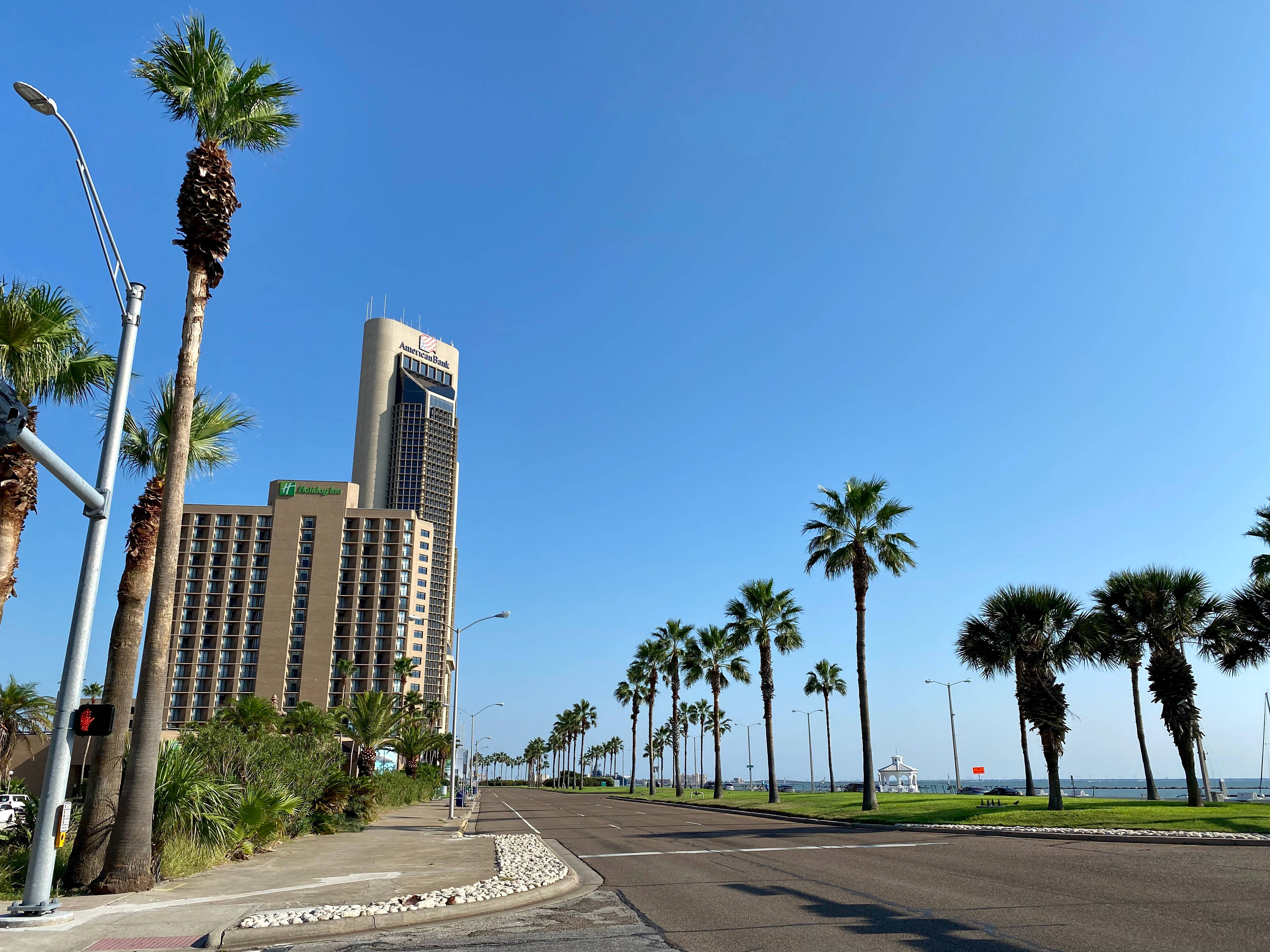 棕櫚樹 桌布 壁紙 — 一條陽光明媚的海岸道路兩旁種滿棕櫚樹，通向一座高聳的飯店建築，上方是清澈的藍天。