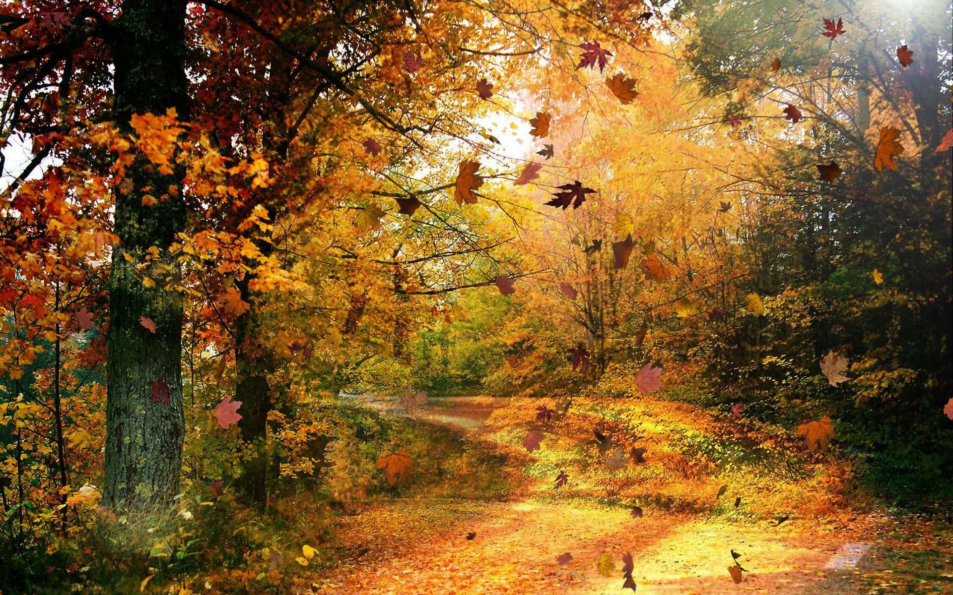 Autumn Wind 桌布 壁紙 — 一條陽光明媚的秋日森林小徑，鋪滿金黃色的落葉，飄落的樹葉形成溫暖發光的樹冠。