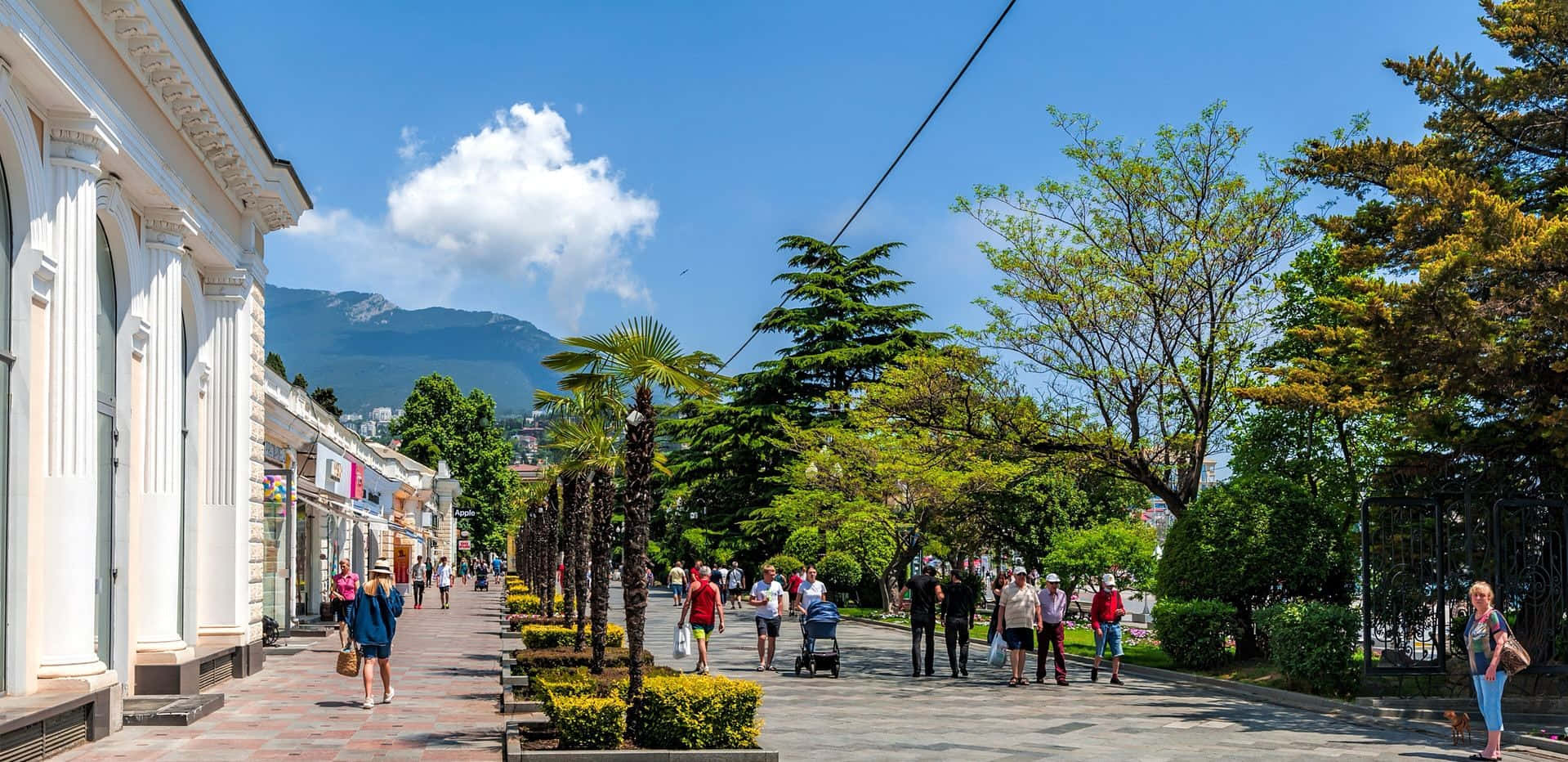 Travel And Tourism 桌布 壁紙 — 一條陽光明媚的行人街，兩旁種滿棕櫚樹和古典建築，藍天白雲。