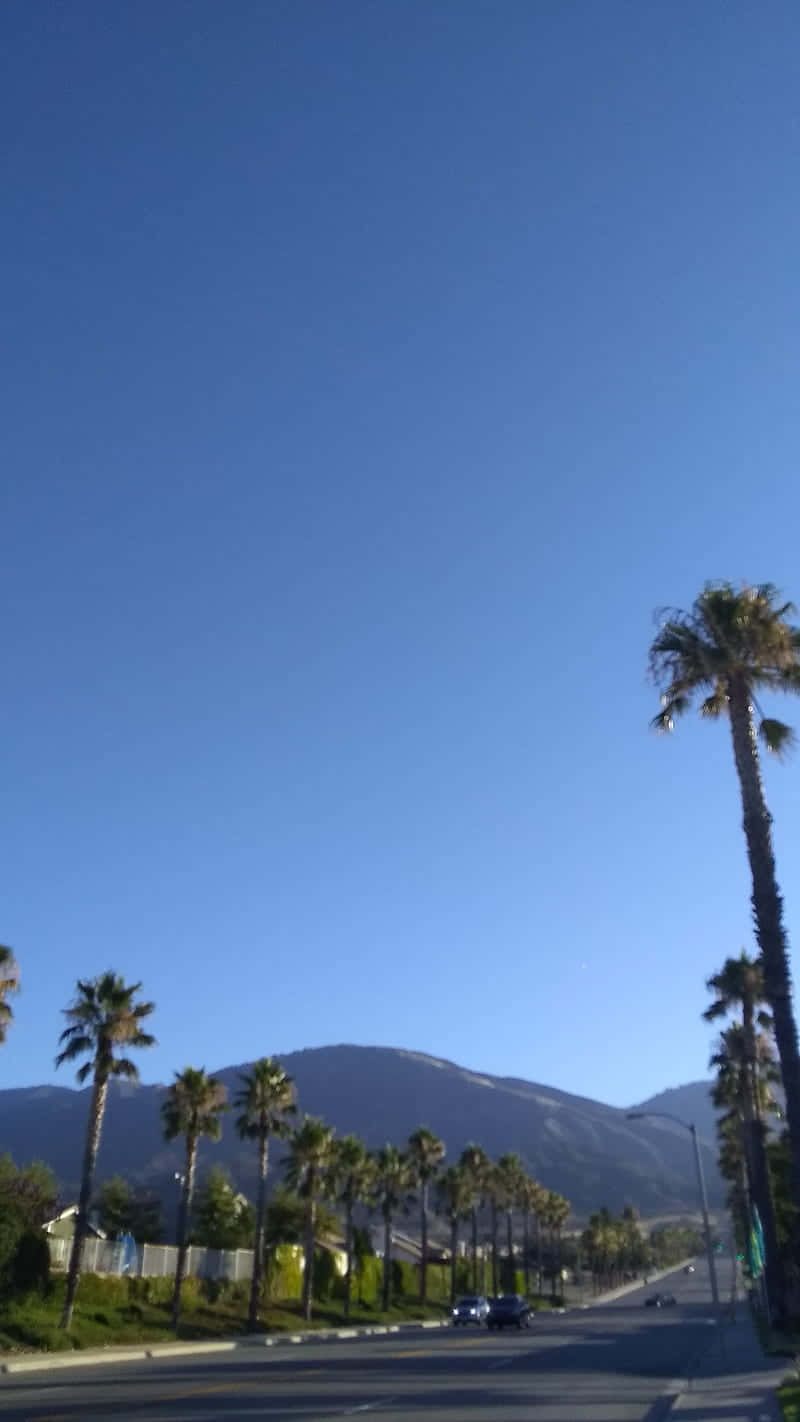 Southern California 桌布 壁紙 — 一條陽光明媚的道路兩旁種滿高大的棕櫚樹，通向遠方的山脈，頭頂是廣闊清澈的藍天。