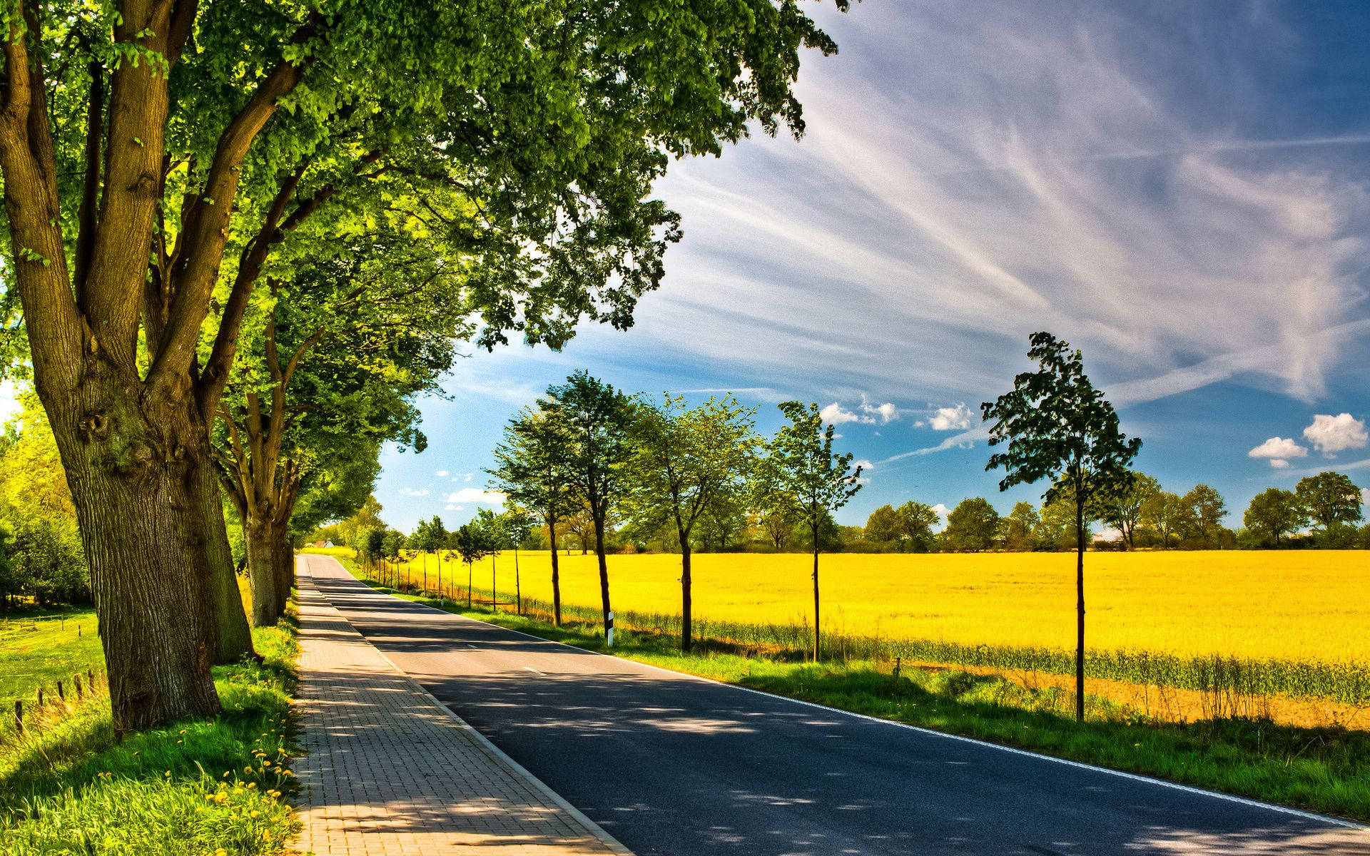 Country Road 桌布 壁紙 — 一條陽光明媚的鄉村道路蜿蜒穿過一片充滿活力的黃色油菜花田，上方是藍天白雲。
