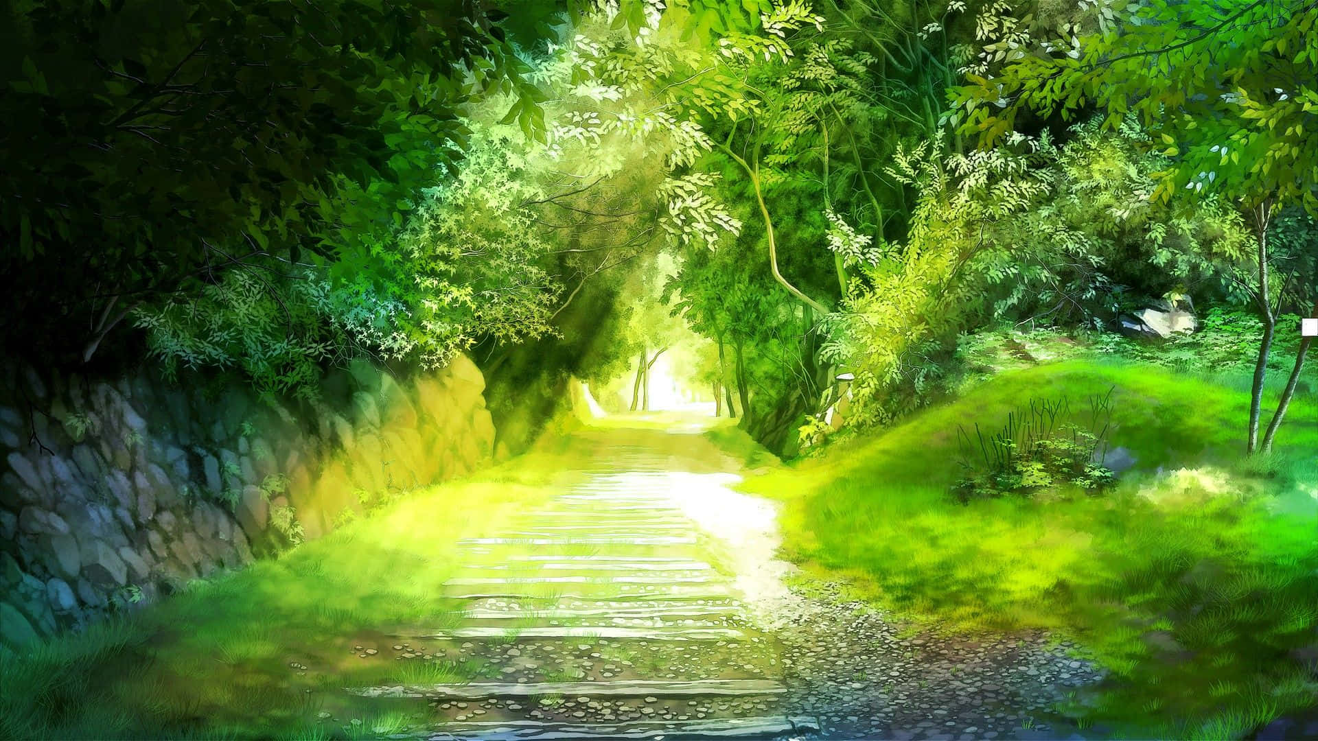 Anime Forest 桌布 壁紙 — 一條陽光普照的石徑蜿蜒穿過茂密的綠色森林，斑駁的光線穿過濃密的樹葉。