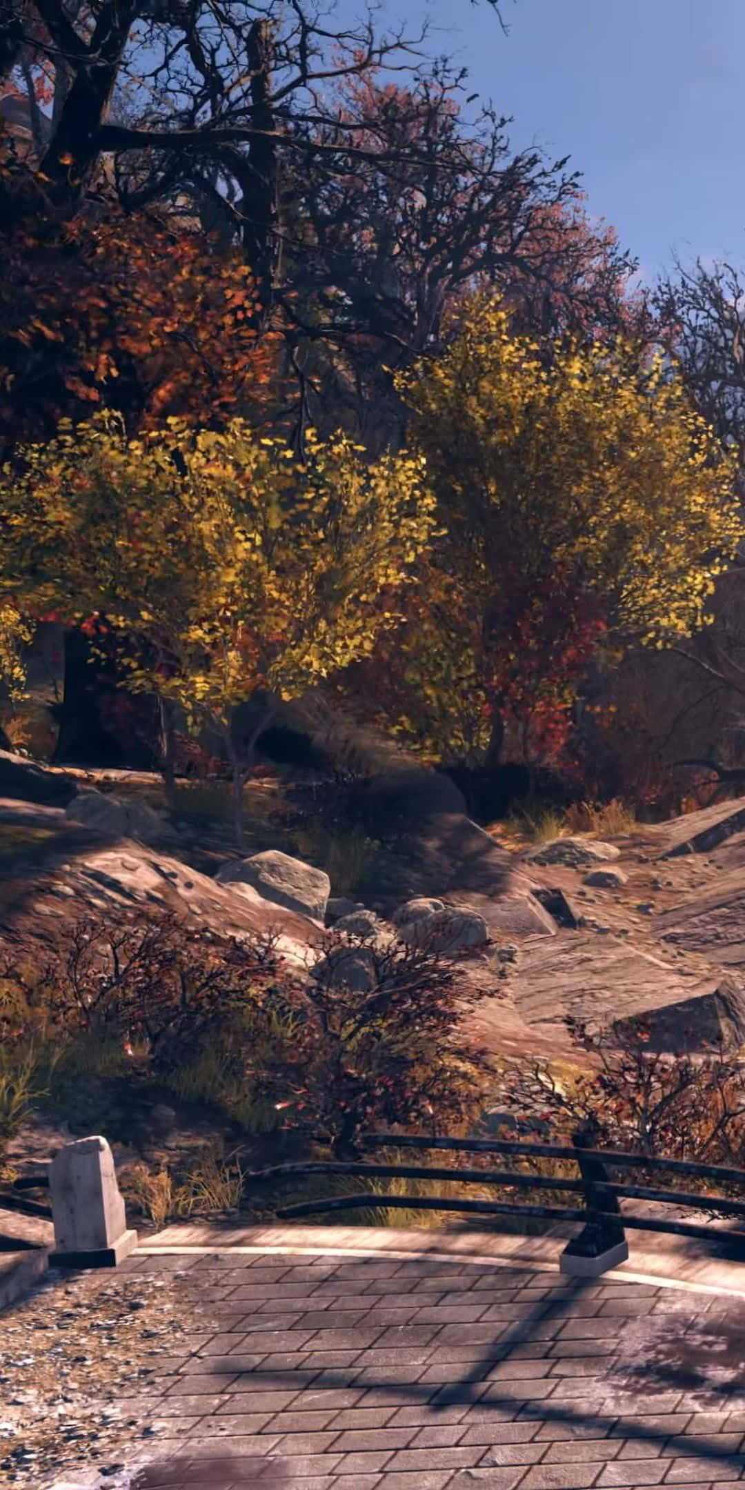 Pixel 3 Fallout 76 桌布 壁紙 — 一條陽光普照的秋日小徑蜿蜒經過色彩鮮豔的黃色和橙色樹木，樹枝光禿，襯著清澈的藍天。