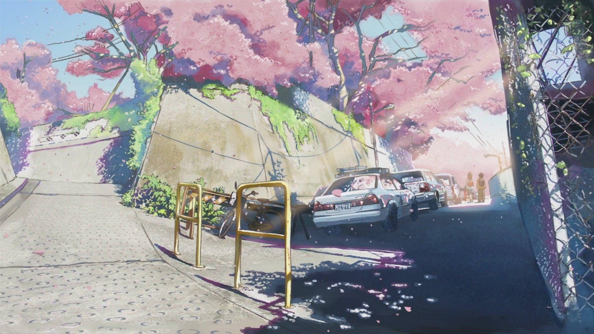 Second 桌布 壁紙 — 一條陽光普照的街道，兩旁盛開的粉紅色櫻花樹在停泊的汽車和人行道上投下柔和的陰影。