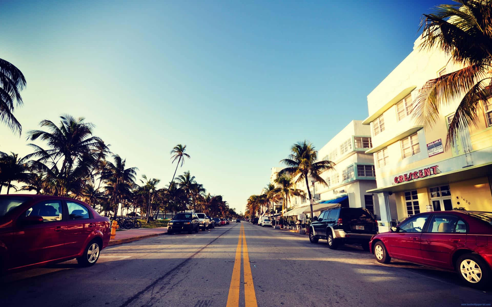 florida 桌布 壁紙 — 一條陽光普照的街道，兩旁種滿棕櫚樹和裝飾藝術風格的建築，天空清澈湛藍。
