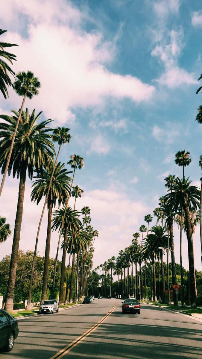 California Summer 桌布 壁紙 — 一條陽光普照的道路，兩旁種滿高大的棕櫚樹，伸向藍天白雲。