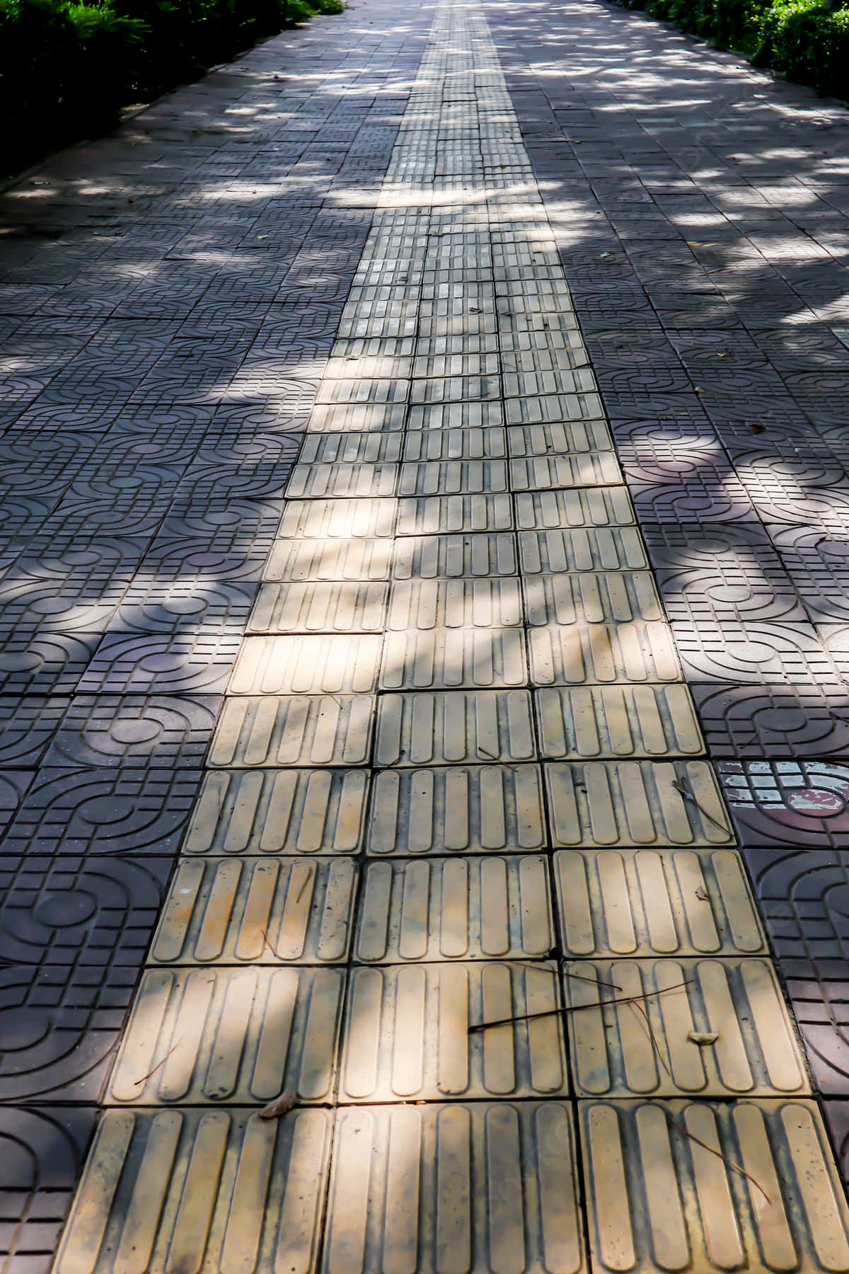 Sidewalk 桌布 壁紙 — 一條陽光普照的鋪砌小徑，設有觸覺引路帶，穿過綠樹成蔭的公園。
