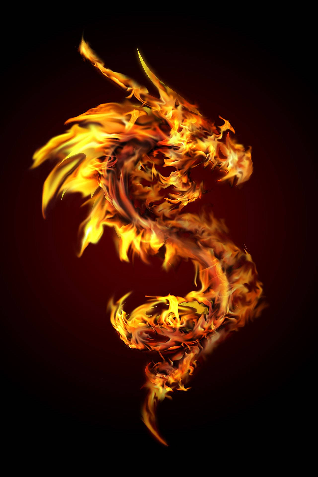 火龍 桌布 壁紙 — 一條雄偉的火龍在深紅和黑色背景上盤繞在動態火焰中。