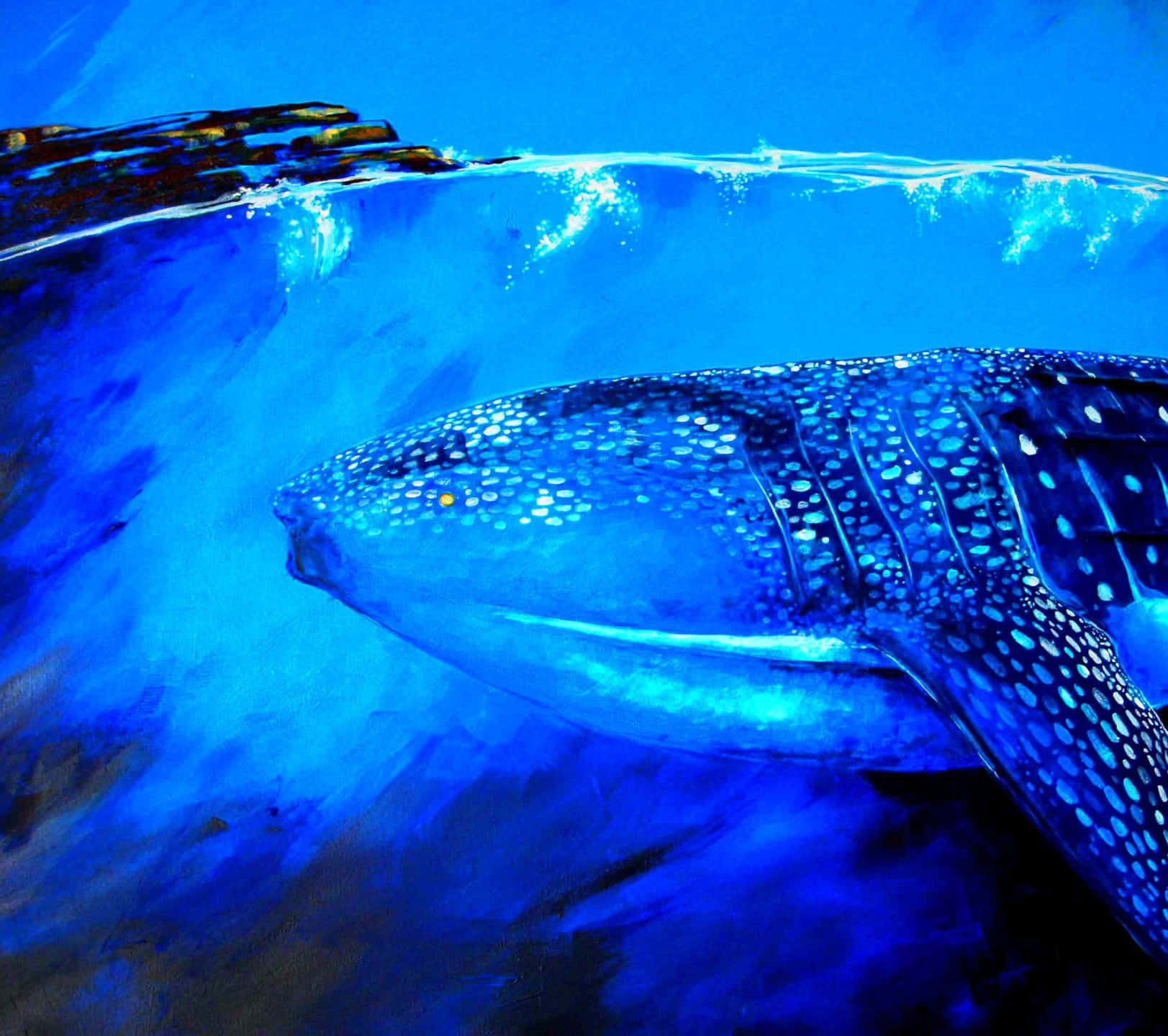 blue whale 桌布 壁紙 — 一條雄偉的鯨鯊在陽光穿透海面的湛藍海水中滑行。