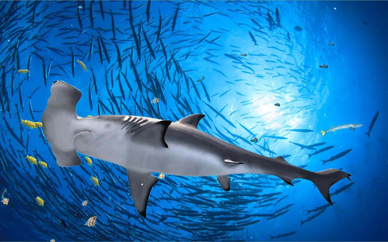 Hammerhead Shark 桌布 壁紙 — 一條雙髻鯊在充滿活力的藍色海水中滑行，周圍環繞著旋轉的魚群和散落的黃色魚。