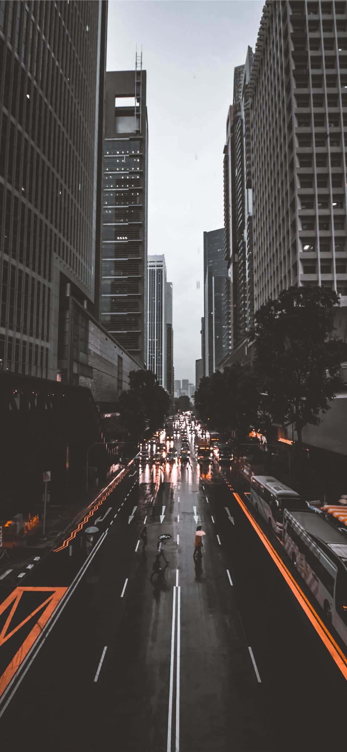 人物 桌布 壁紙 — 一條雨中的城市街道，兩旁是高聳的摩天大樓，濕漉漉的路面反射著城市的燈光，還有一個孤獨的騎單車者在車流中穿梭。