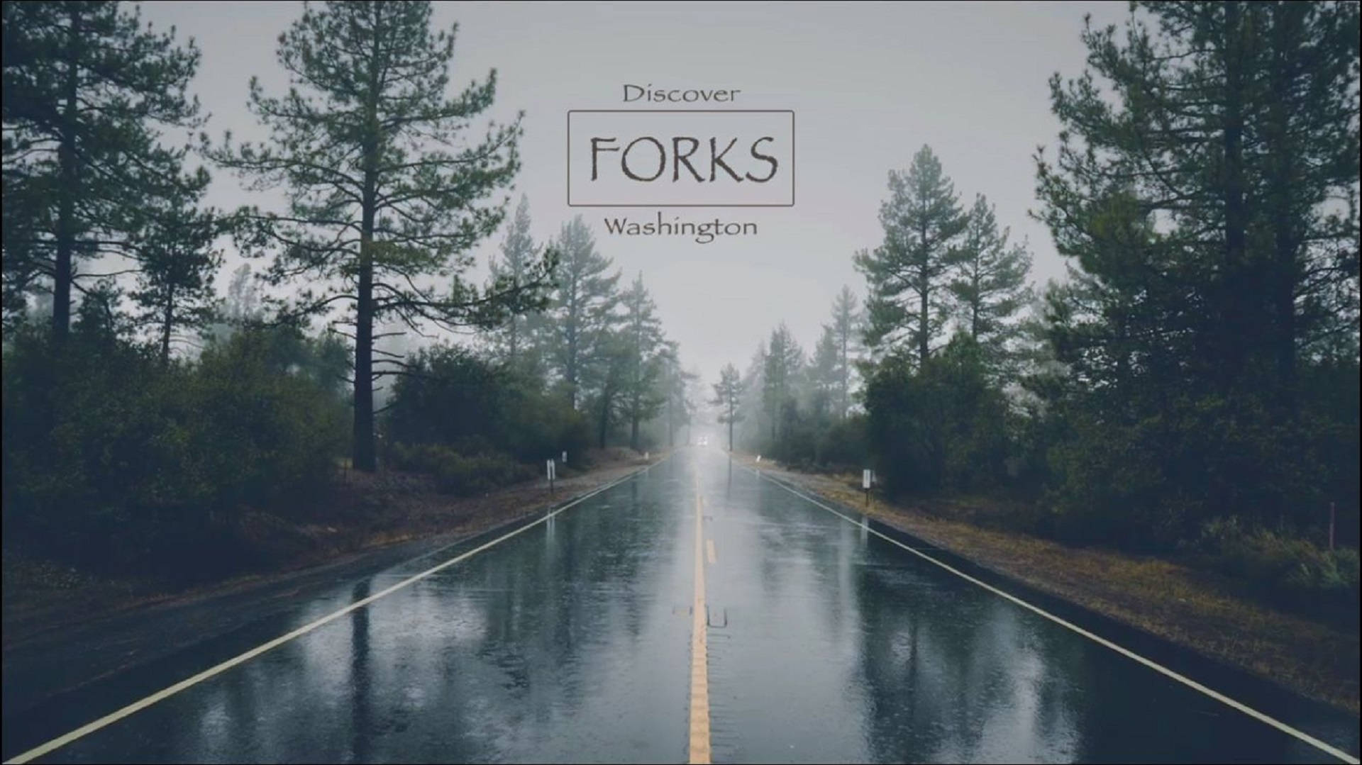 Forks 桌布 壁紙 — 一條霧氣瀰漫、被雨水打濕的道路穿過茂密的松林，延伸向遠方的消失點。