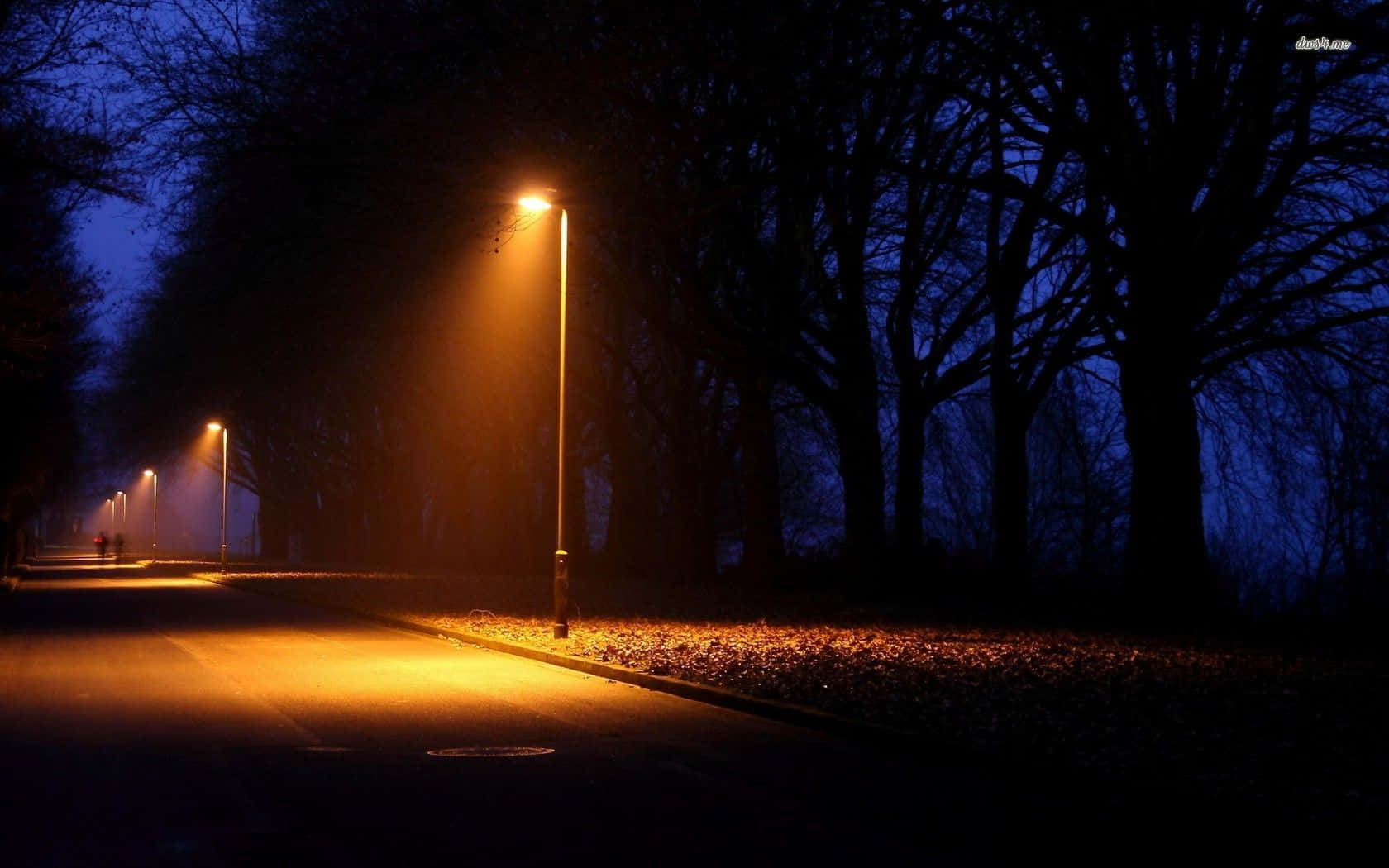 Street Light 桌布 壁紙 — 一條霧氣瀰漫的夜間小徑，被溫暖的路燈照亮，在光禿禿的樹木間投下長長的影子。