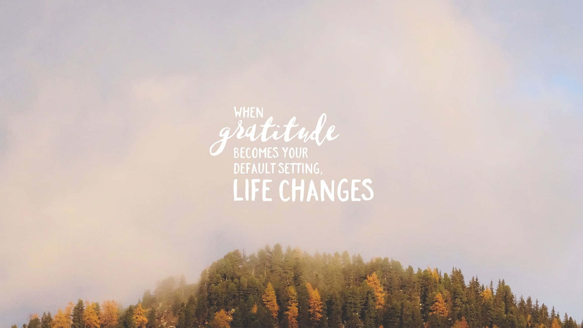 Gratitude 桌布 壁紙 — 一條霧氣瀰漫的山脊，秋樹在陰天天空下柔和地發光，白色勵志文字寫著「當感恩成為你的默認設定，生活就會改變」。