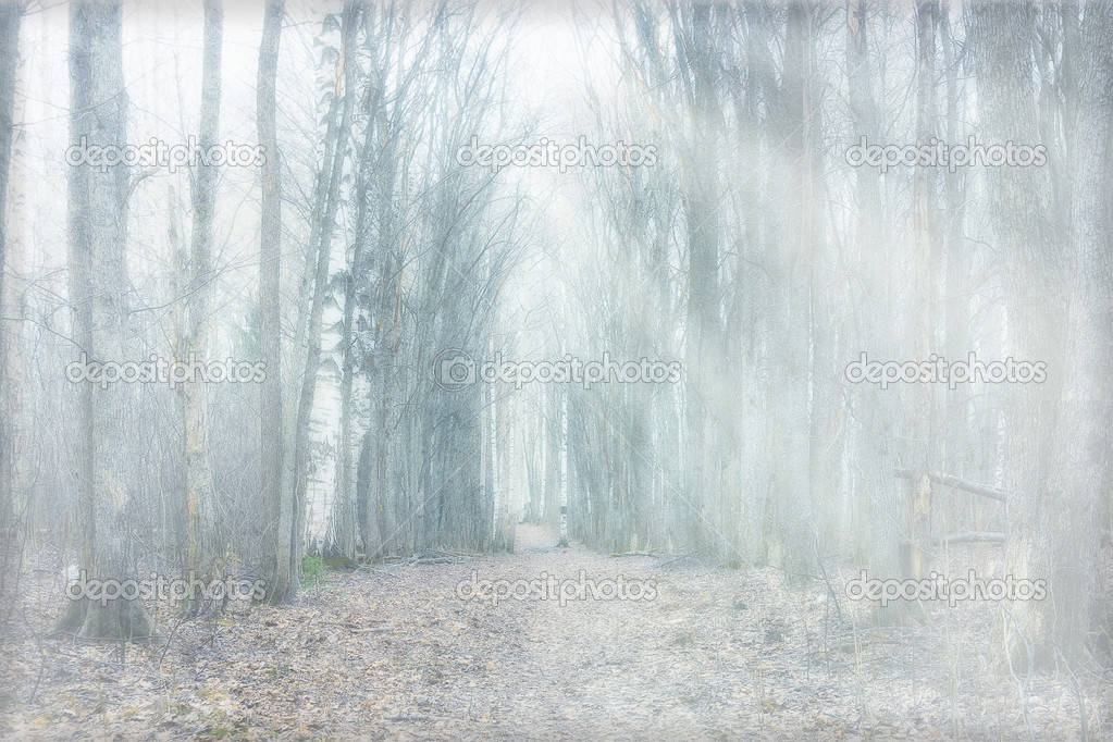 Mystical Forest 桌布 壁紙 — 一條霧氣瀰漫的森林小徑蜿蜒穿過光禿禿的樹木，柔和的灰色和白色色調營造出寧靜而神秘的氛圍。