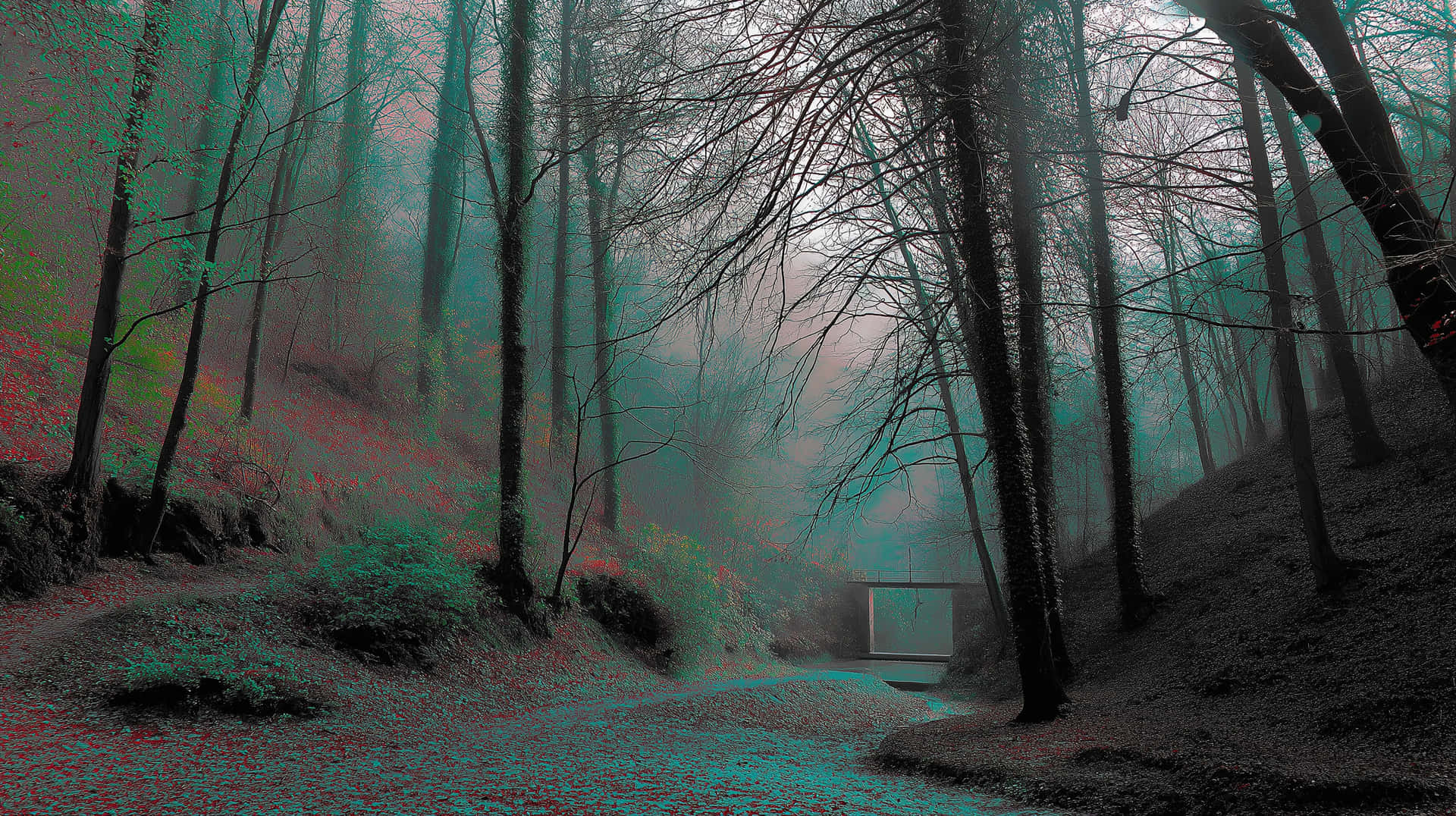 Eerie Forest Landscape with Misty Atmosphere and Structure 壁紙 — 一條霧氣瀰漫的森林小徑蜿蜒穿過光禿禿的樹木，紅色和藍綠色的色彩變化顯露出一扇遙遠的白色門。