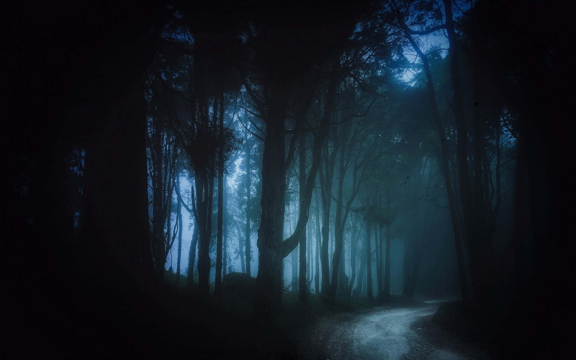 Dark Road 桌布 壁紙 — 一條霧氣瀰漫的森林小徑蜿蜒穿過高聳的樹木，在昏暗的藍光下，營造出神秘而詭異的氛圍。