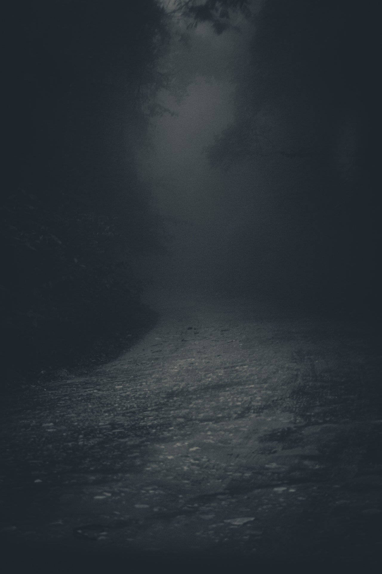 Spooky 桌布 壁紙 — 一條霧氣瀰漫的森林小徑蜿蜒進入黑暗，微弱光線從上方茂密的樹木間透出。