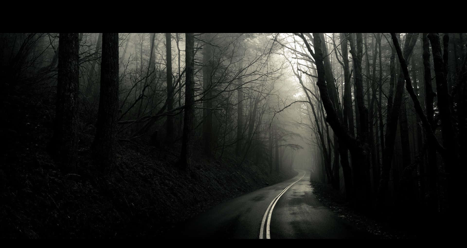Dark Road 桌布 壁紙 — 一條霧氣瀰漫的森林小路蜿蜒穿過光禿禿的樹木，在昏暗朦朧的光線下營造出神秘詭異的氣氛。