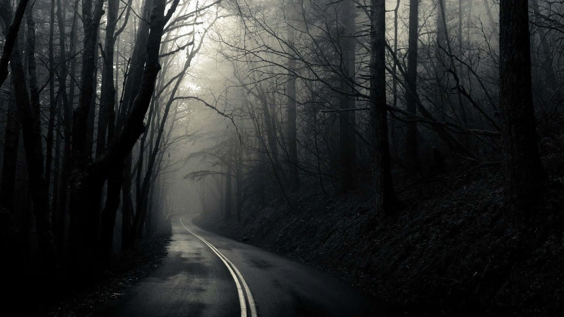 Dark Road 桌布 壁紙 — 一條霧氣瀰漫的森林小路蜿蜒進入黑暗，兩旁是光禿禿的樹木，詭異的光線穿透而過。
