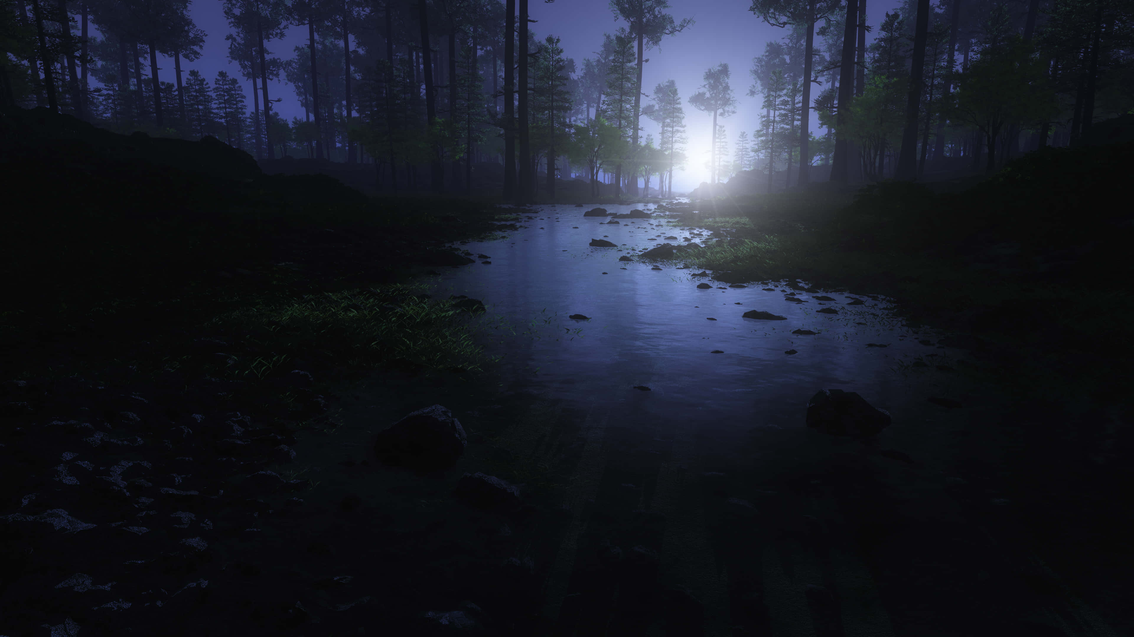 Night Forest 桌布 壁紙 — 一條霧氣瀰漫的森林溪流在夜間透過高聳松樹的遙遠月光下閃耀。