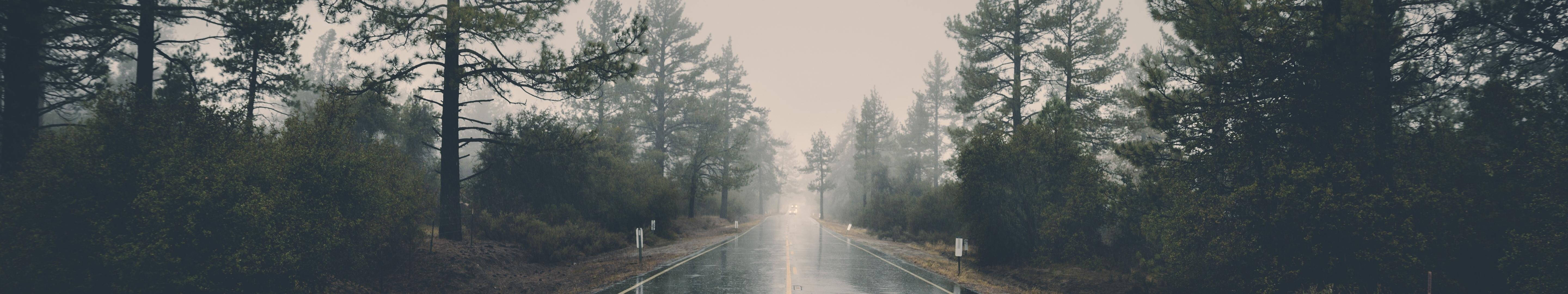 Road 桌布 壁紙 — 一條霧氣瀰漫的森林道路在朦朧的灰色天空下，兩旁高聳的松樹延伸至遠方。