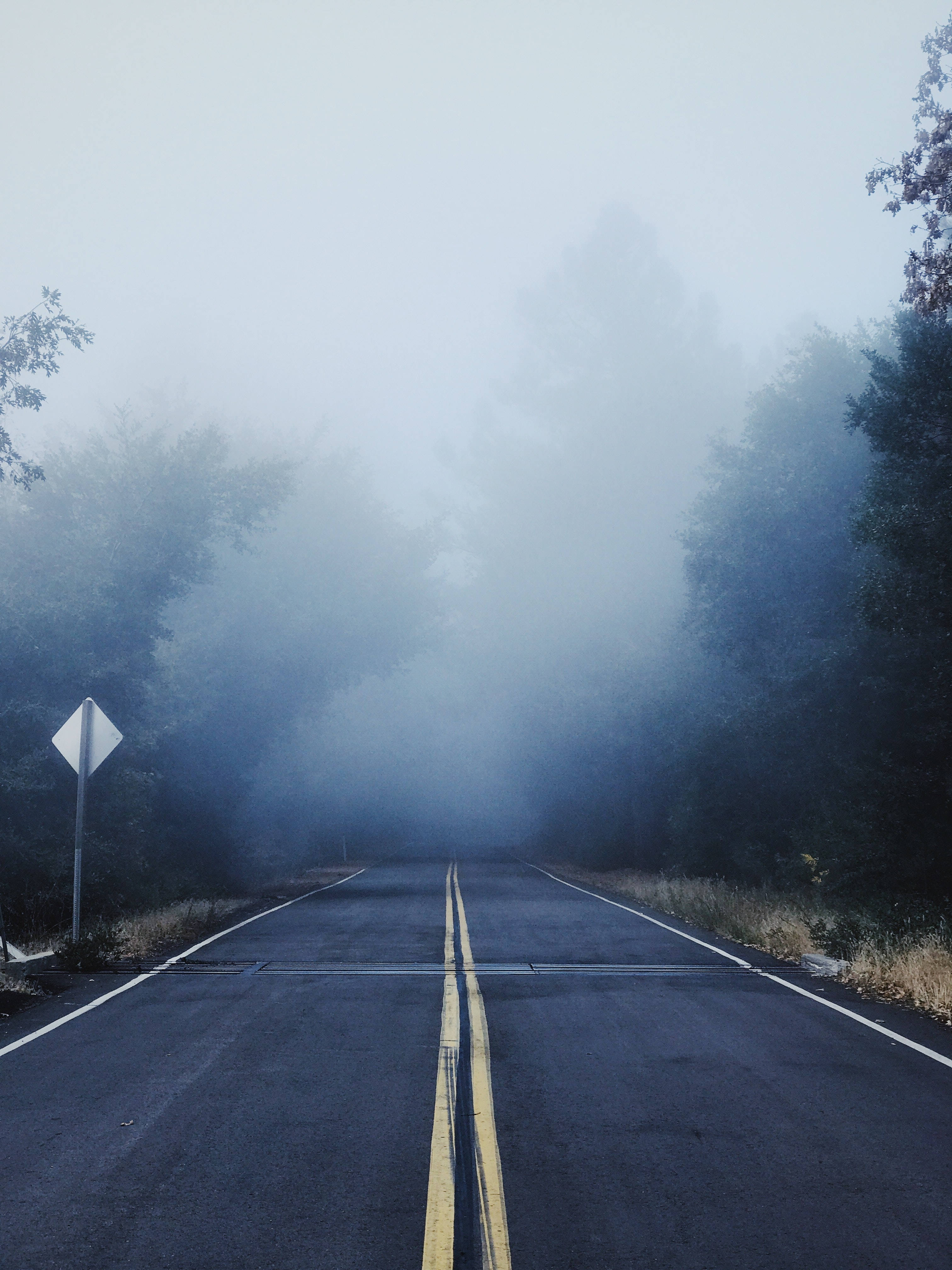 Road 桌布 壁紙 — 一條霧氣瀰漫的森林道路消失在濃霧中，兩旁樹木林立，一條褪色的黃色中心線指引著方向。